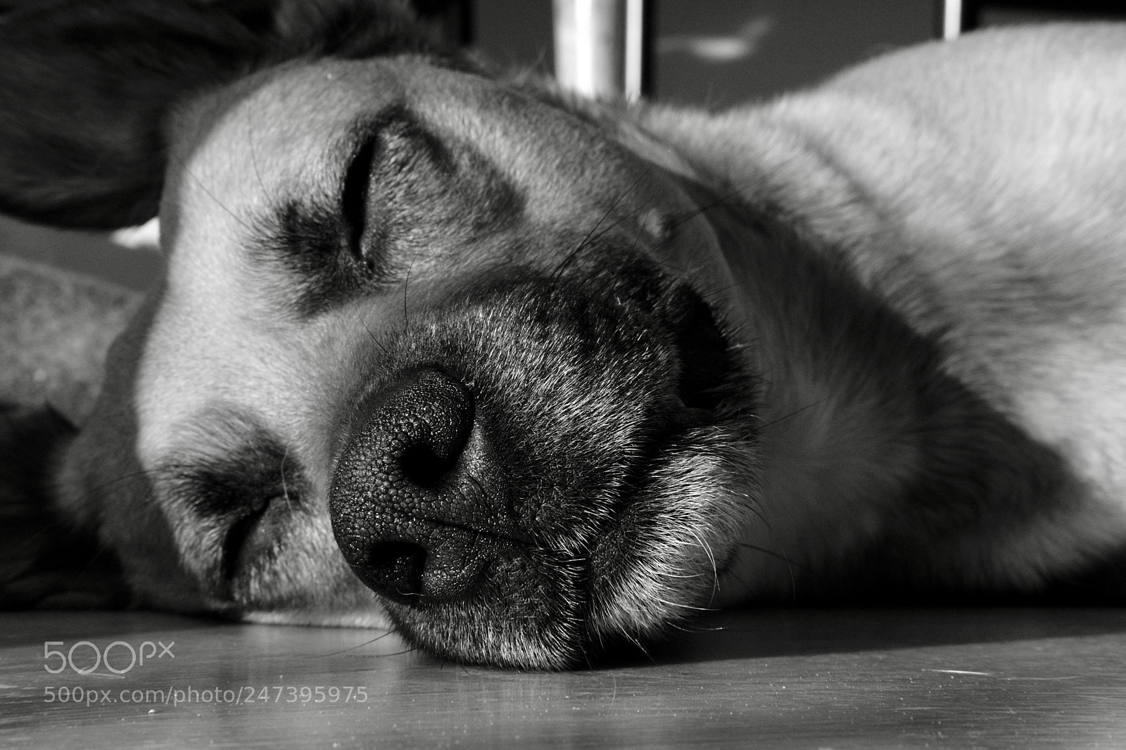 Fujifilm X-E3 sample photo. Untitled photography