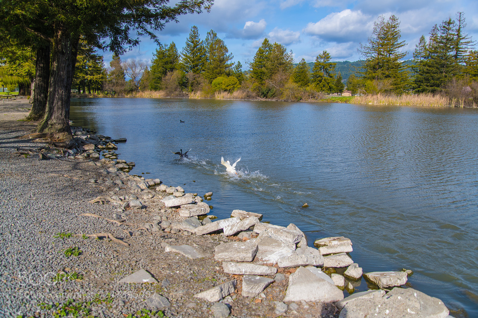 Nikon D850 sample photo. Roberts lake photography