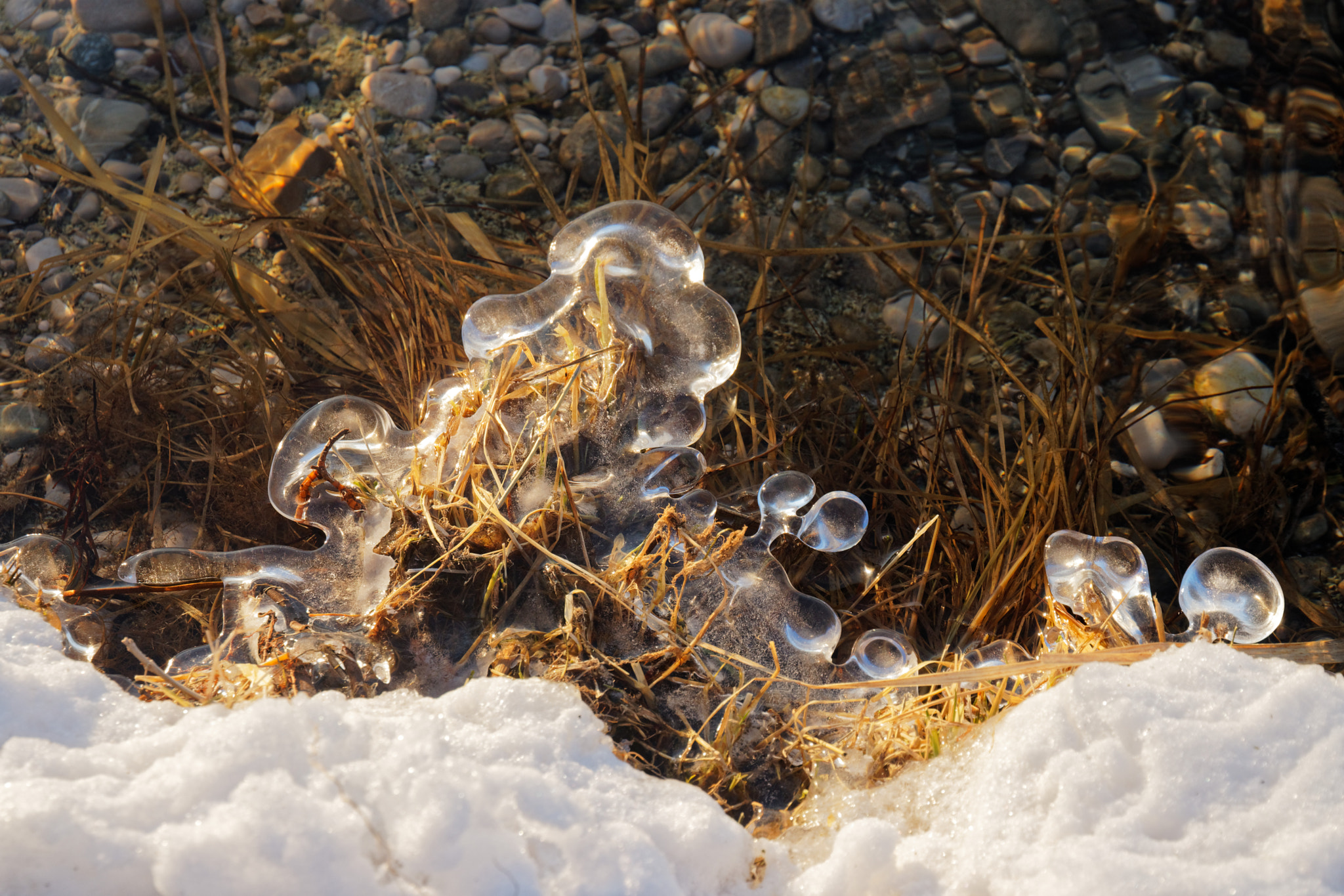 Canon EOS 80D sample photo. Frozen bubbles photography