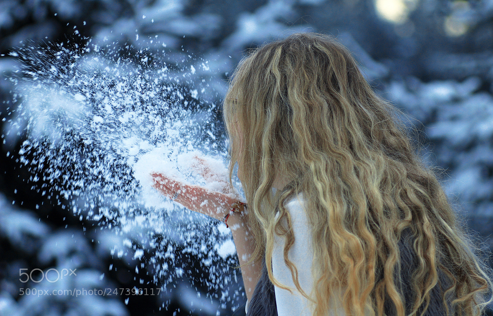 Canon EOS 60D sample photo. Snow queen photography