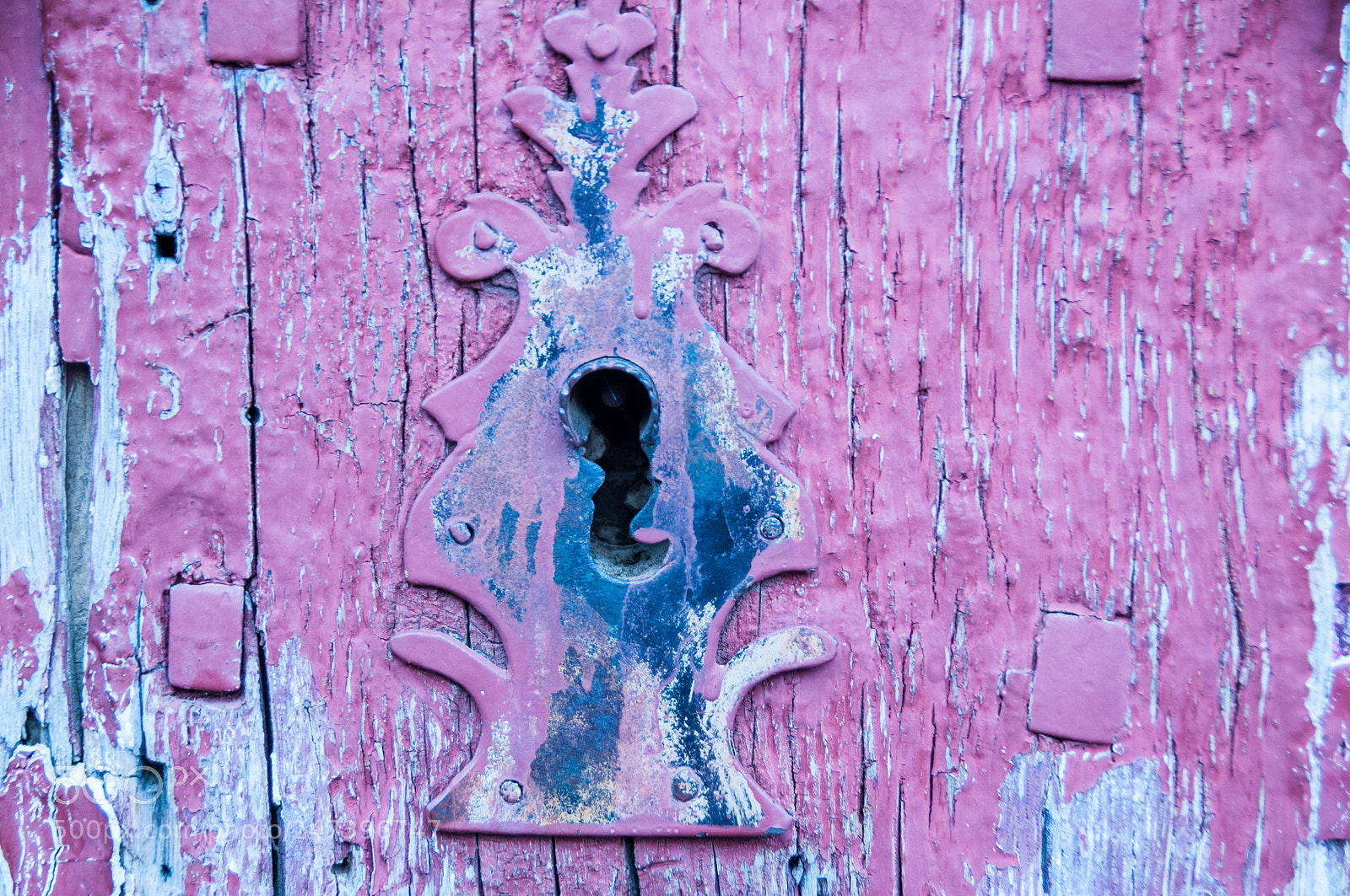 Nikon D300S sample photo. Vadevimbre photography