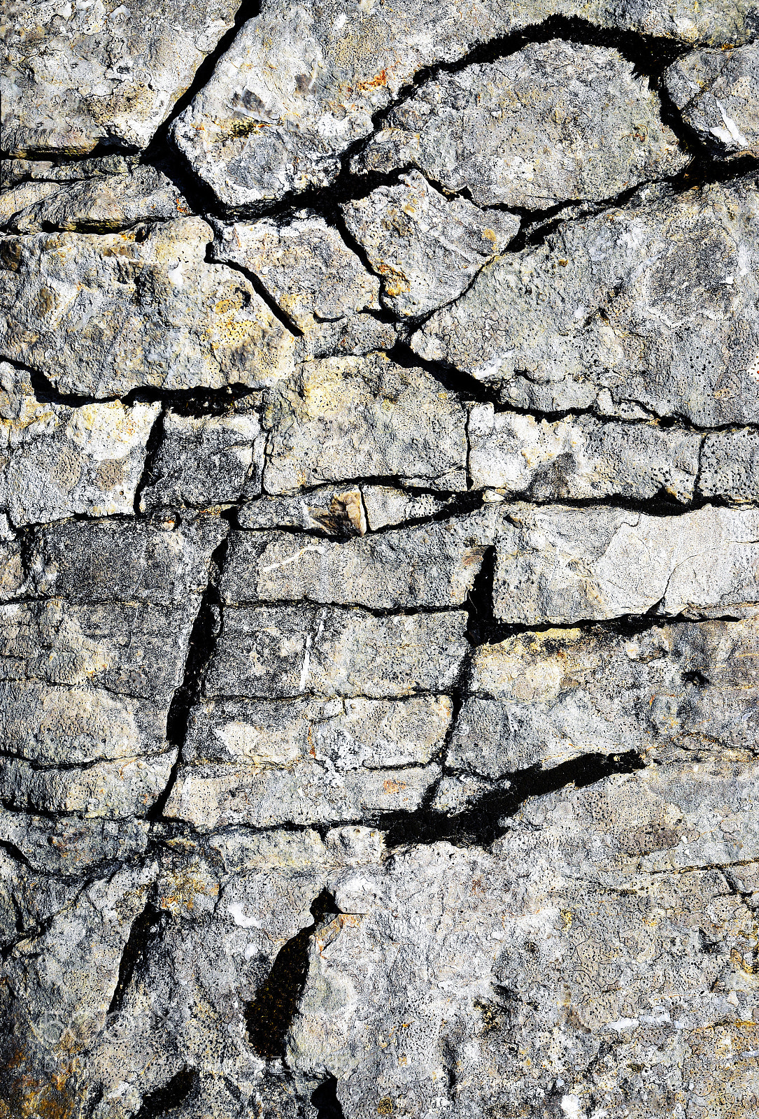 Nikon D5500 sample photo. Limestone fissures cracks photography
