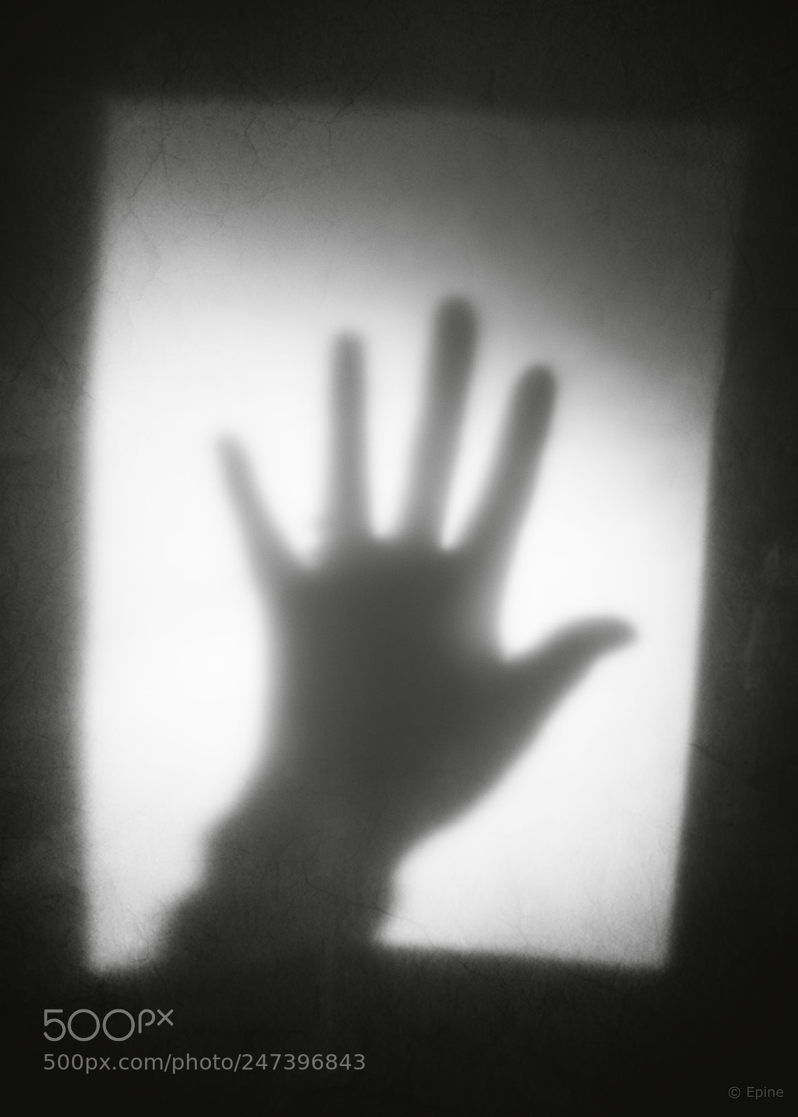 Nikon D600 sample photo. Hand photography