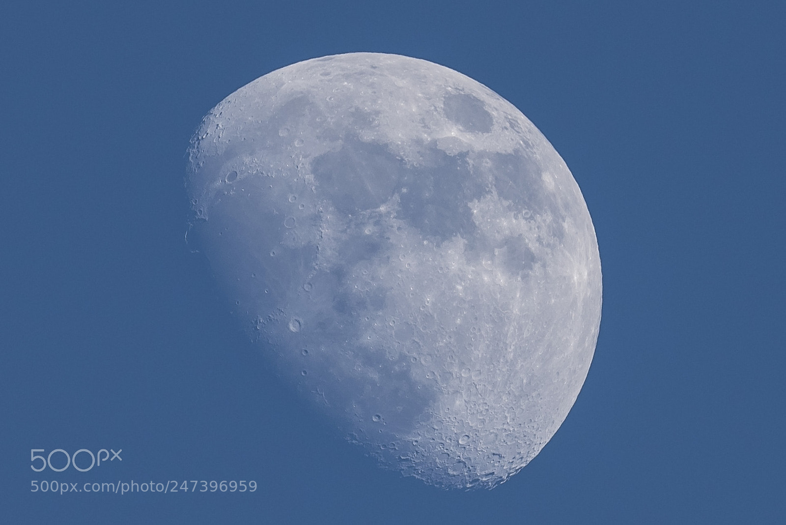 Nikon D810 sample photo. Beautiful moon this afternoon photography
