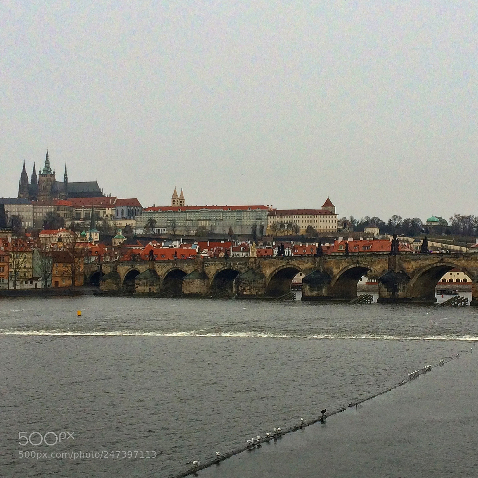 Apple iPhone 5s sample photo. Charles bridge in prague photography
