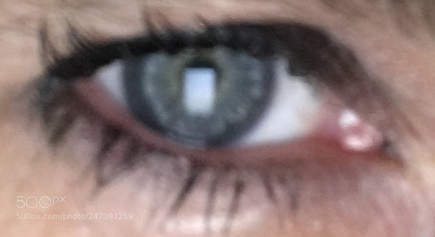 Apple iPhone 6s sample photo. Untitled photography