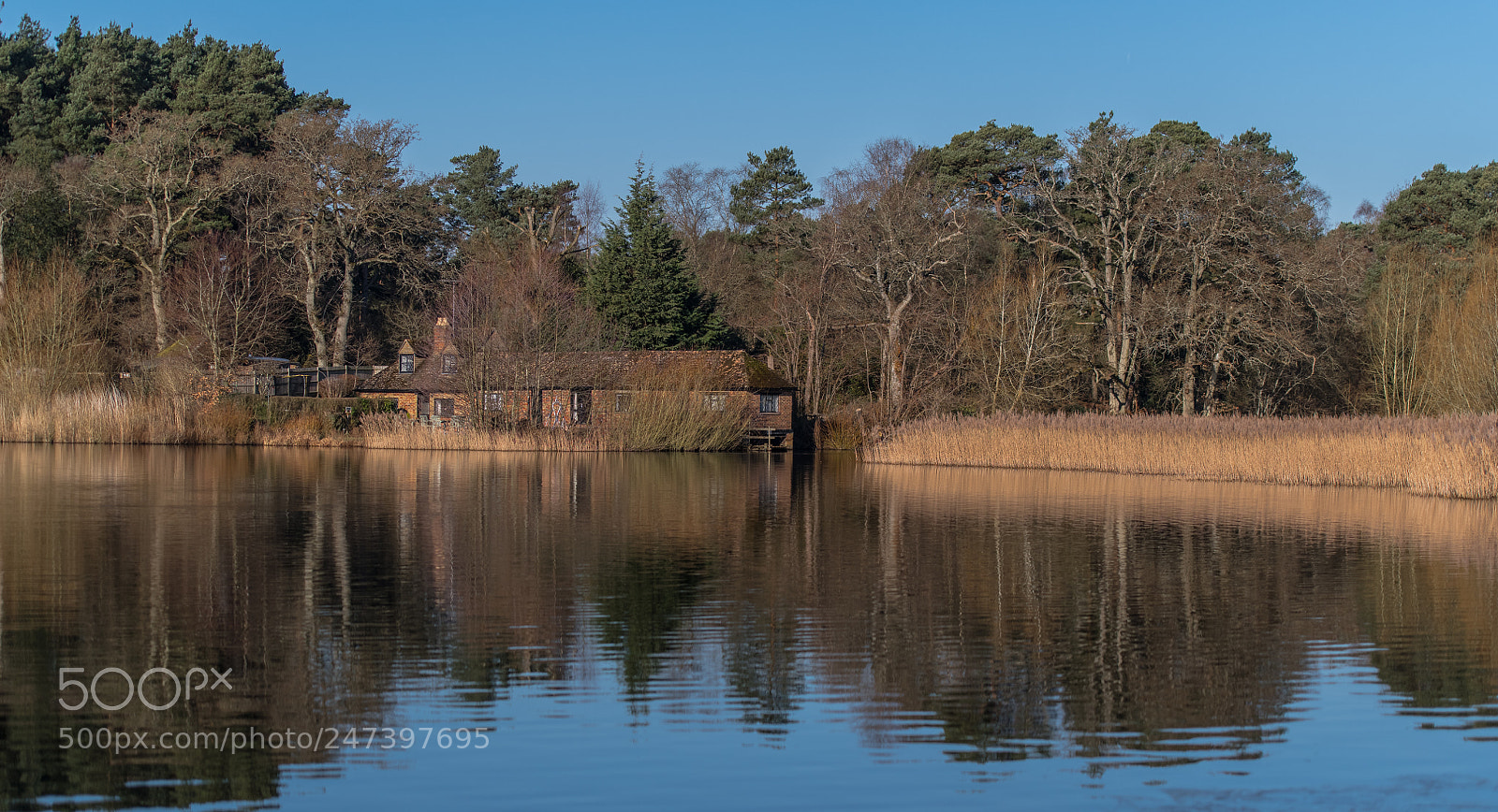Nikon D850 sample photo. The boathouse frensham photography