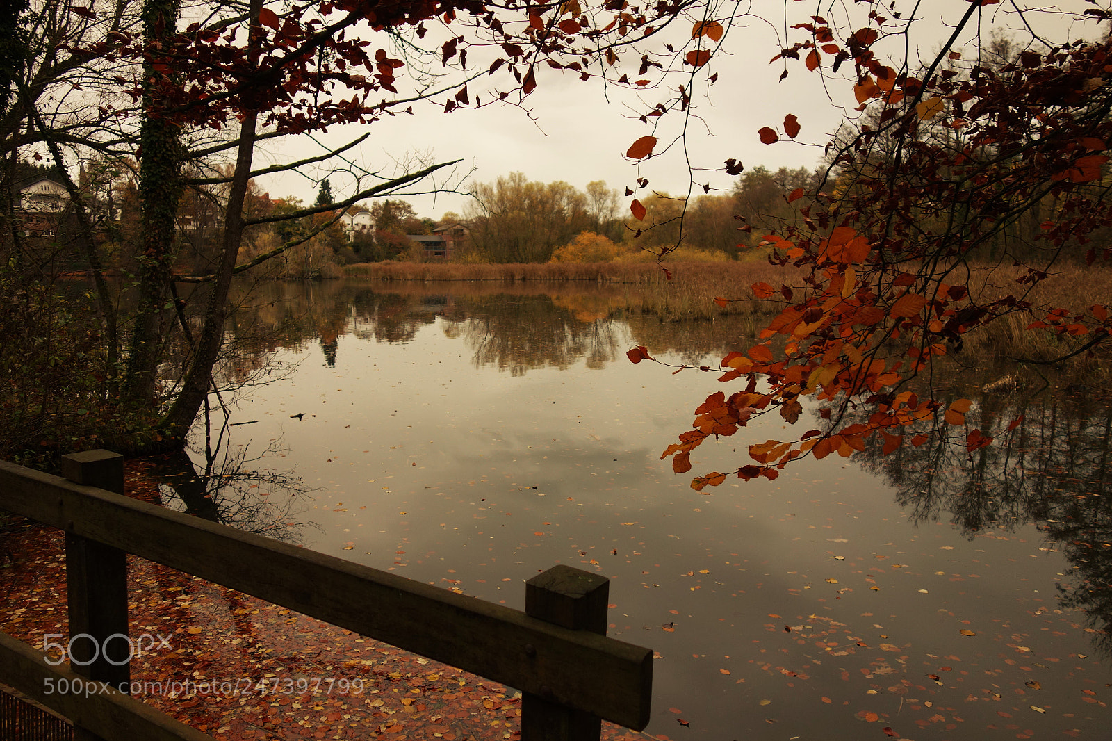 Sony Cyber-shot DSC-RX100 sample photo. Autumn photography