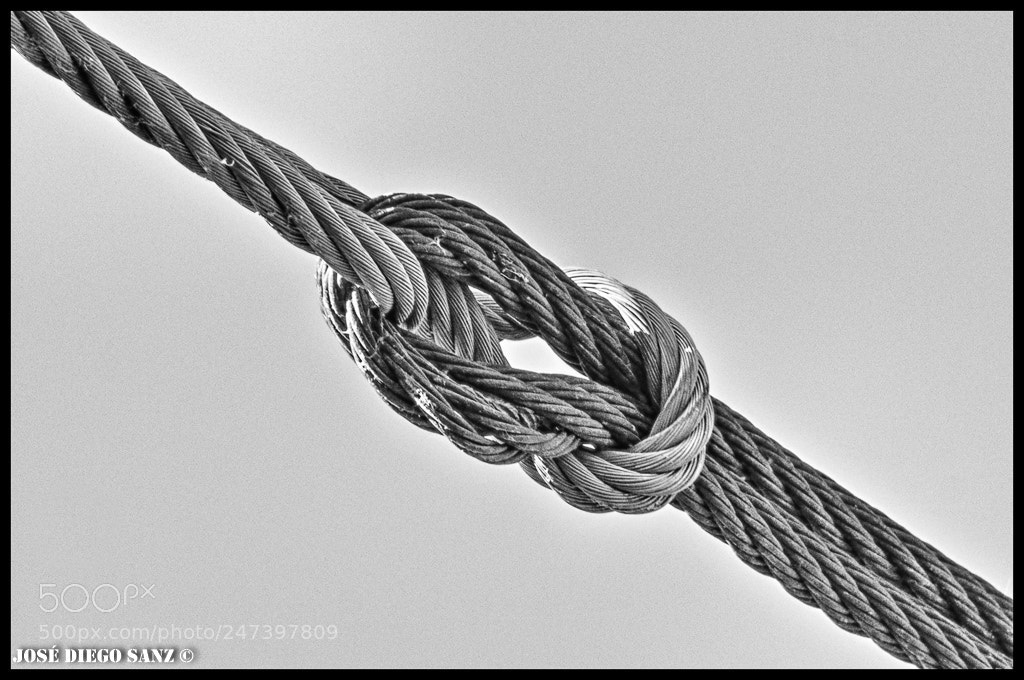 Nikon D300 sample photo. Nudo (knot) photography