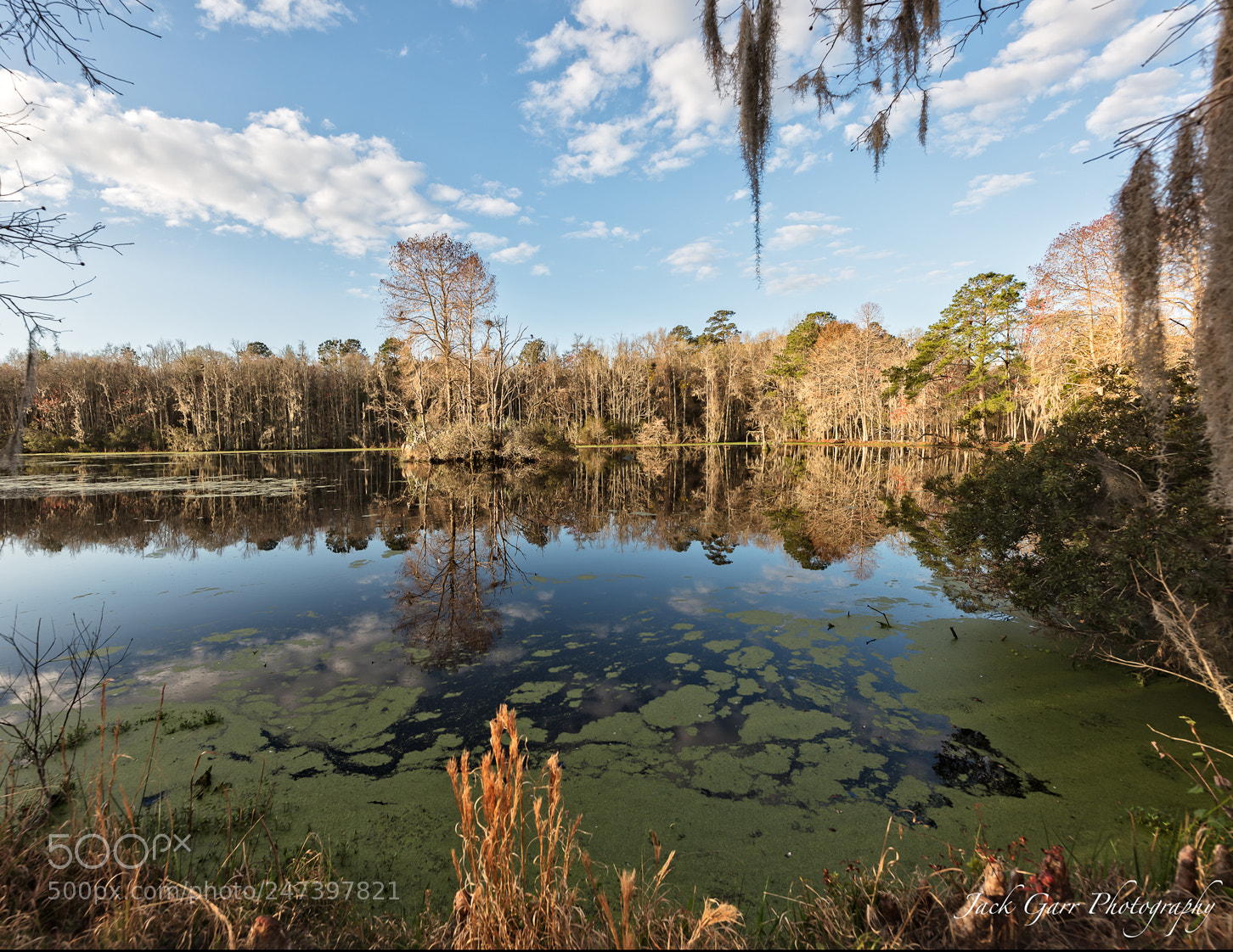 Canon EOS 5DS sample photo. Swamp in the morning photography