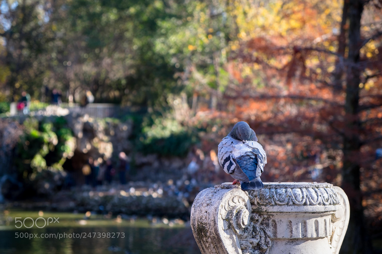 Fujifilm X-T1 sample photo. En su paraiso... photography