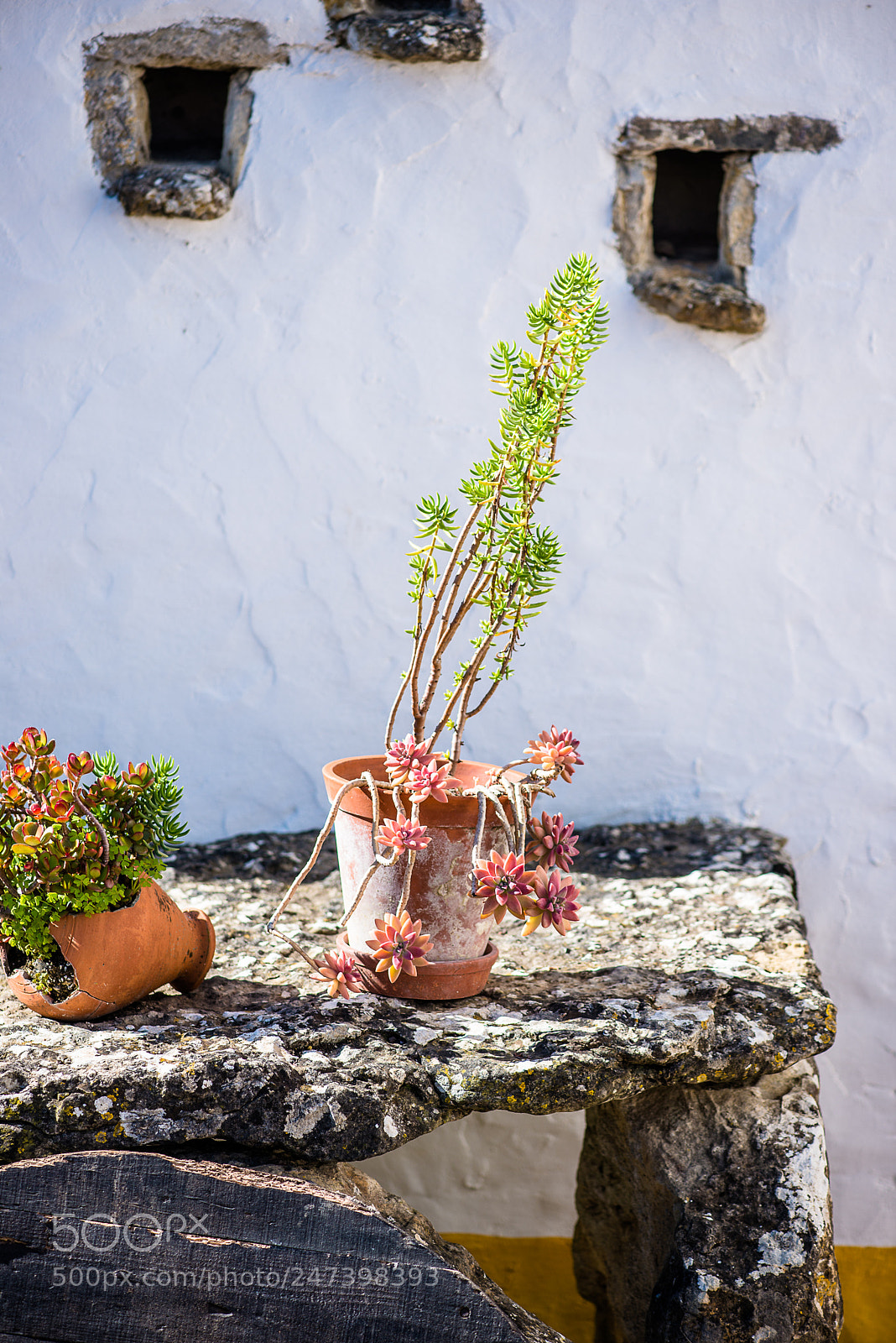 Nikon D610 sample photo. Apenas detalhes.... photography