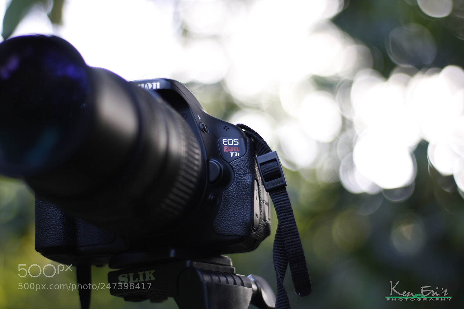 Canon EOS 1000D (EOS Digital Rebel XS / EOS Kiss F) sample photo. Bbb photography