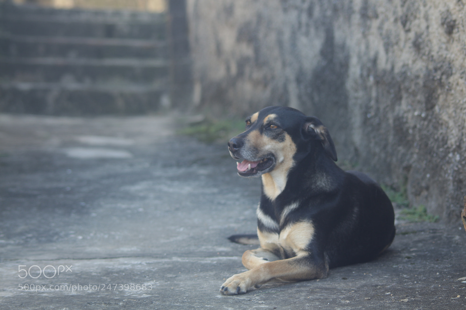 Canon EOS 700D (EOS Rebel T5i / EOS Kiss X7i) sample photo. Untitled photography