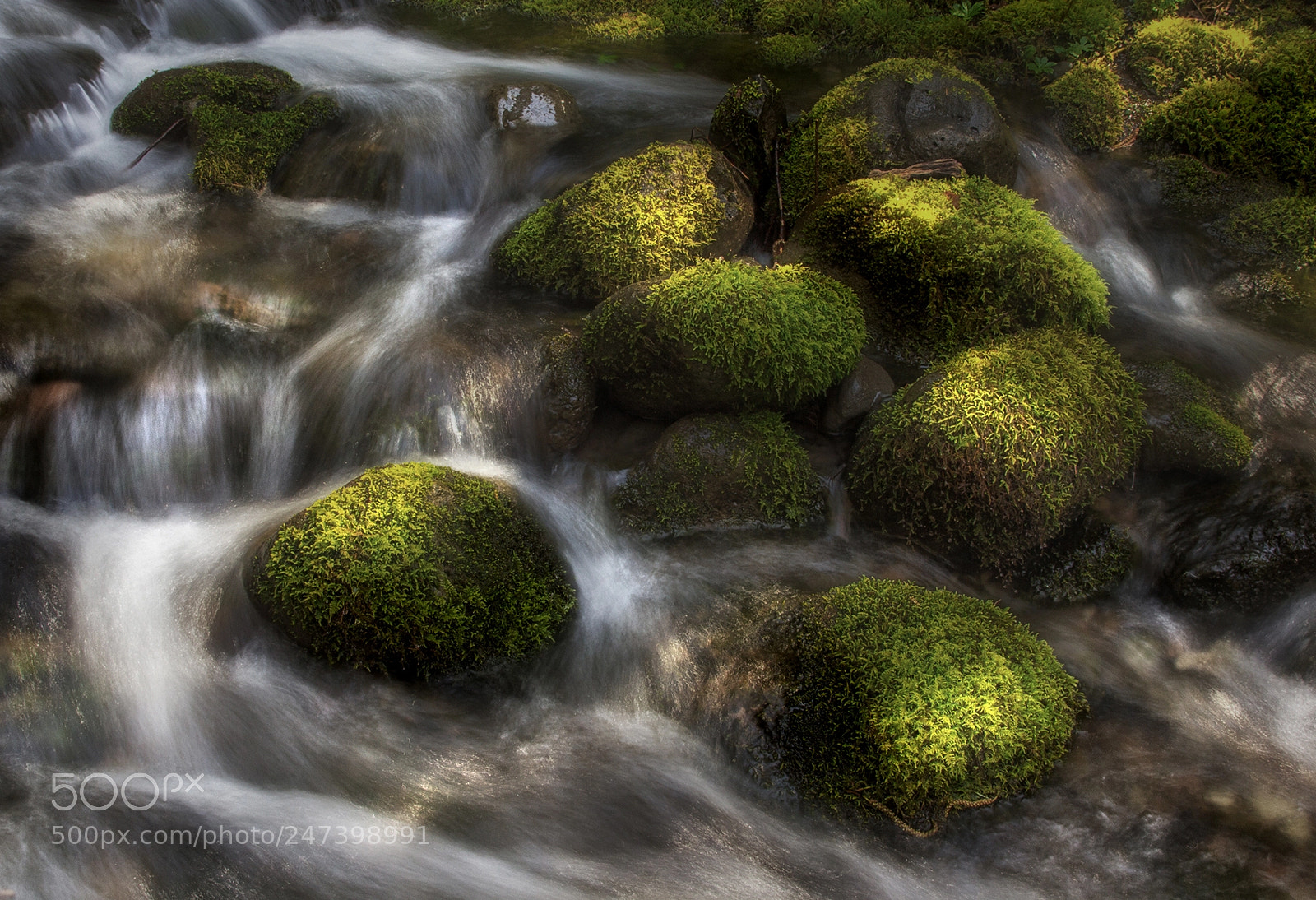 Canon EOS 60D sample photo. Light on mossy rocks photography