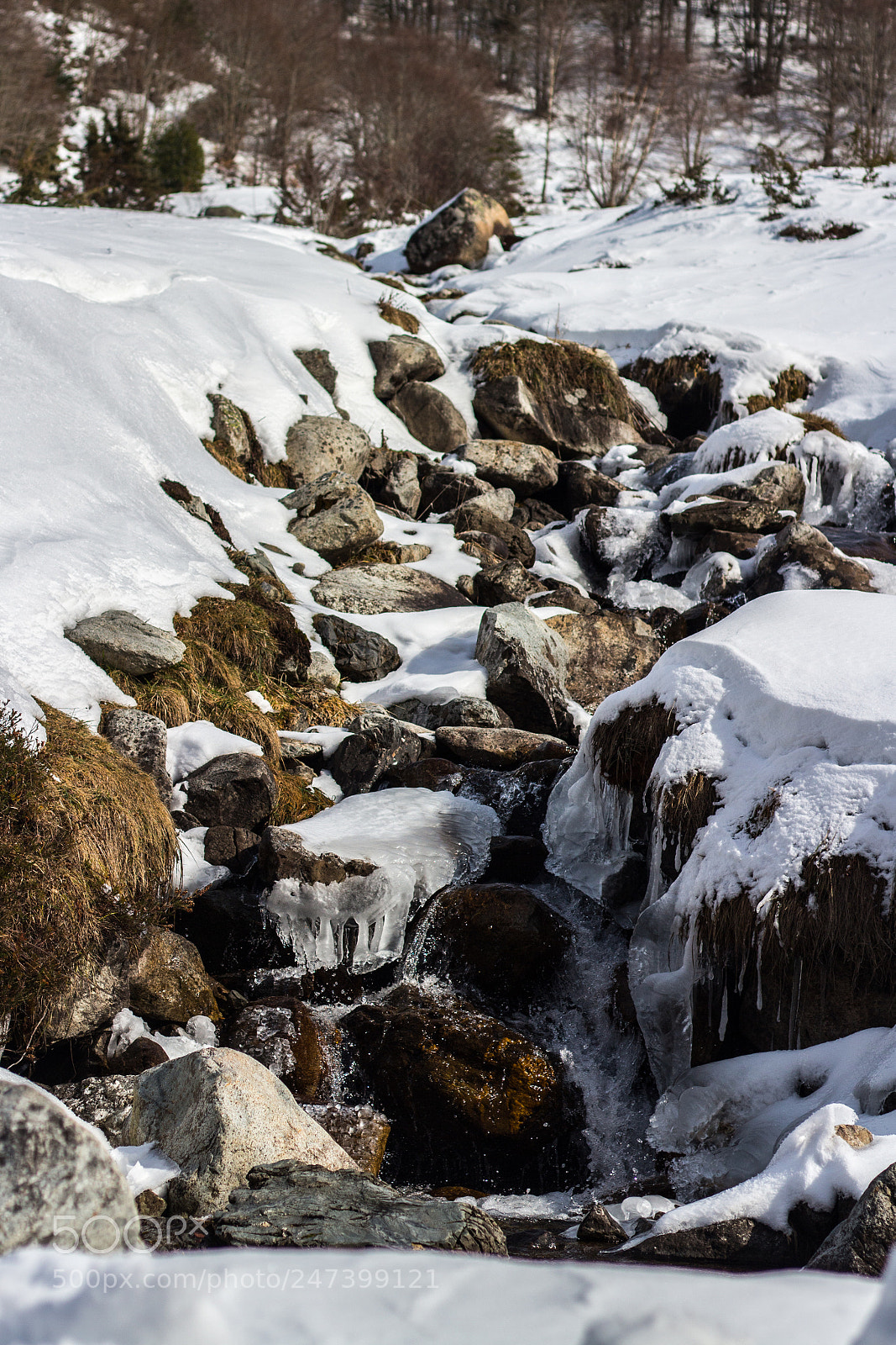 Canon EOS 100D (EOS Rebel SL1 / EOS Kiss X7) sample photo. Snowy river photography