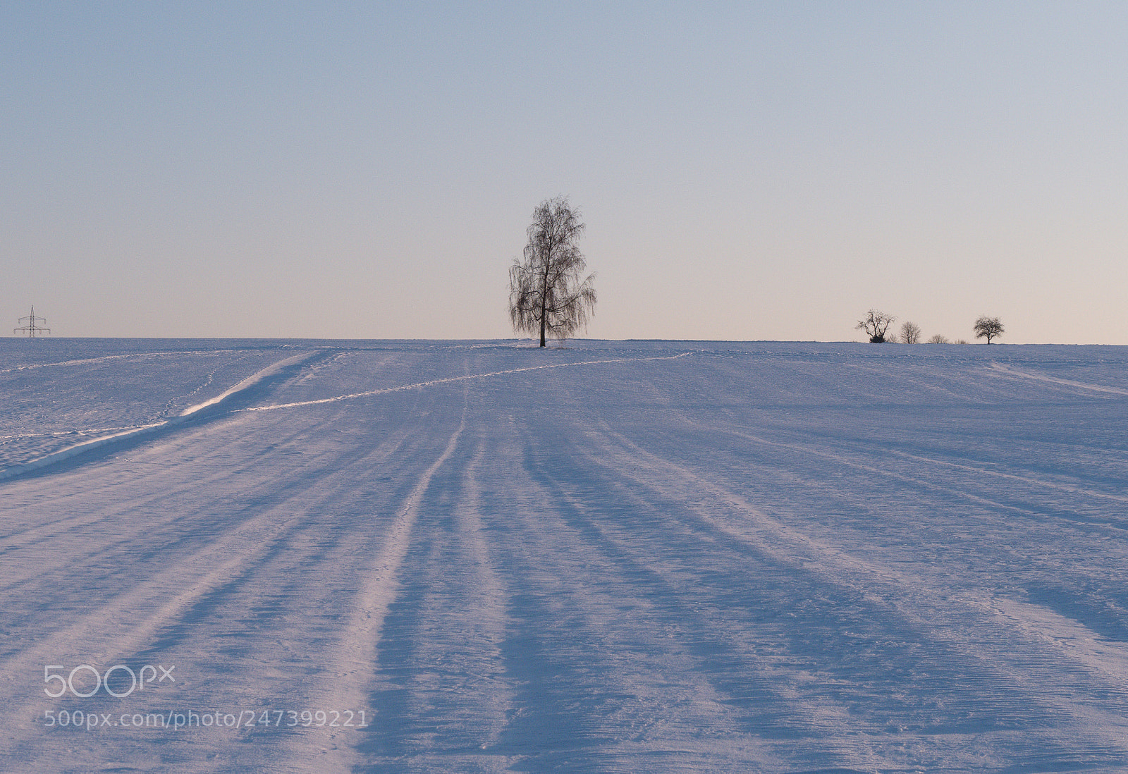 Panasonic DMC-G70 sample photo. Tree in winter photography