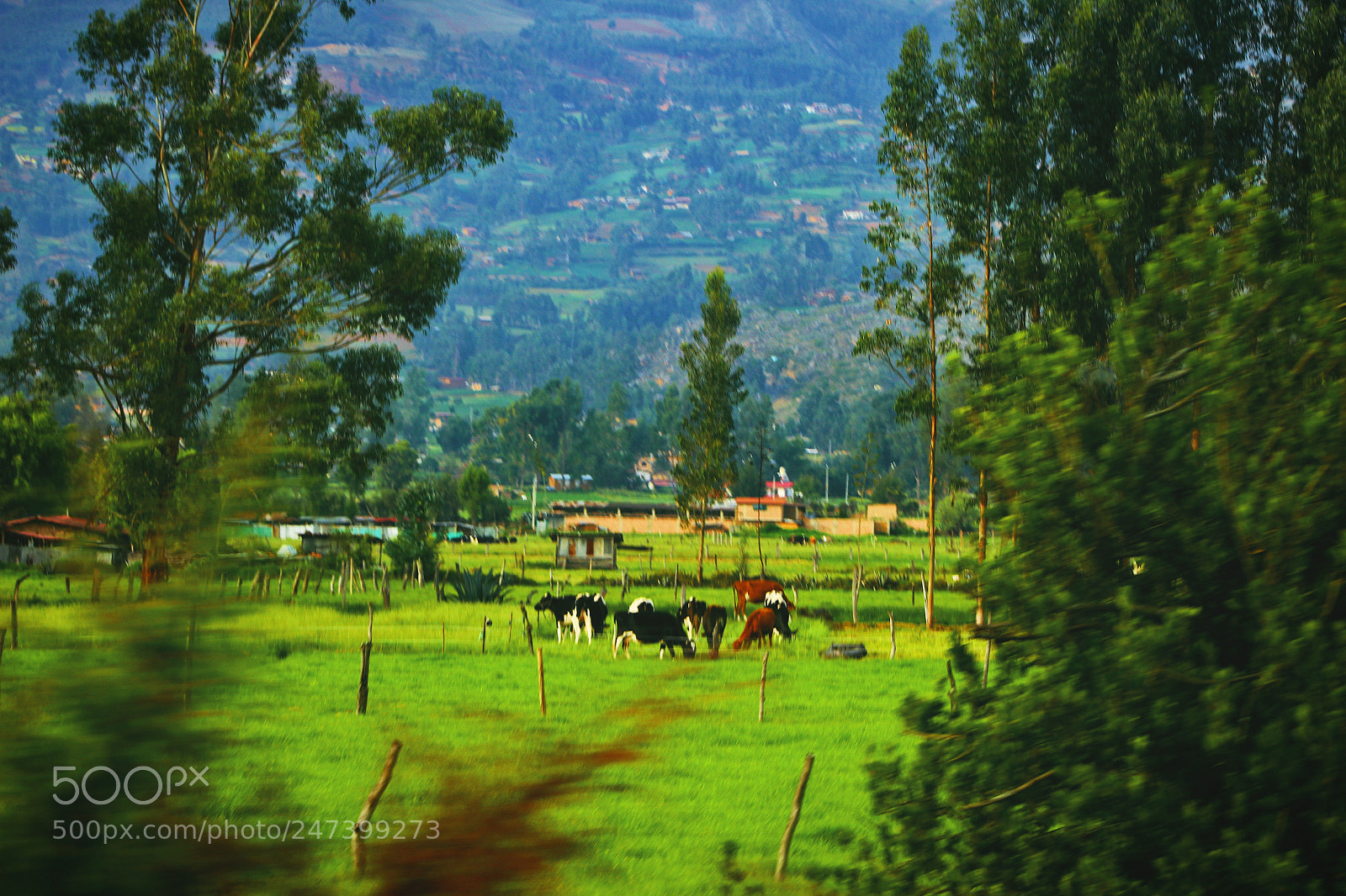 Canon EOS 1200D (EOS Rebel T5 / EOS Kiss X70 / EOS Hi) sample photo. Cajamarca photography