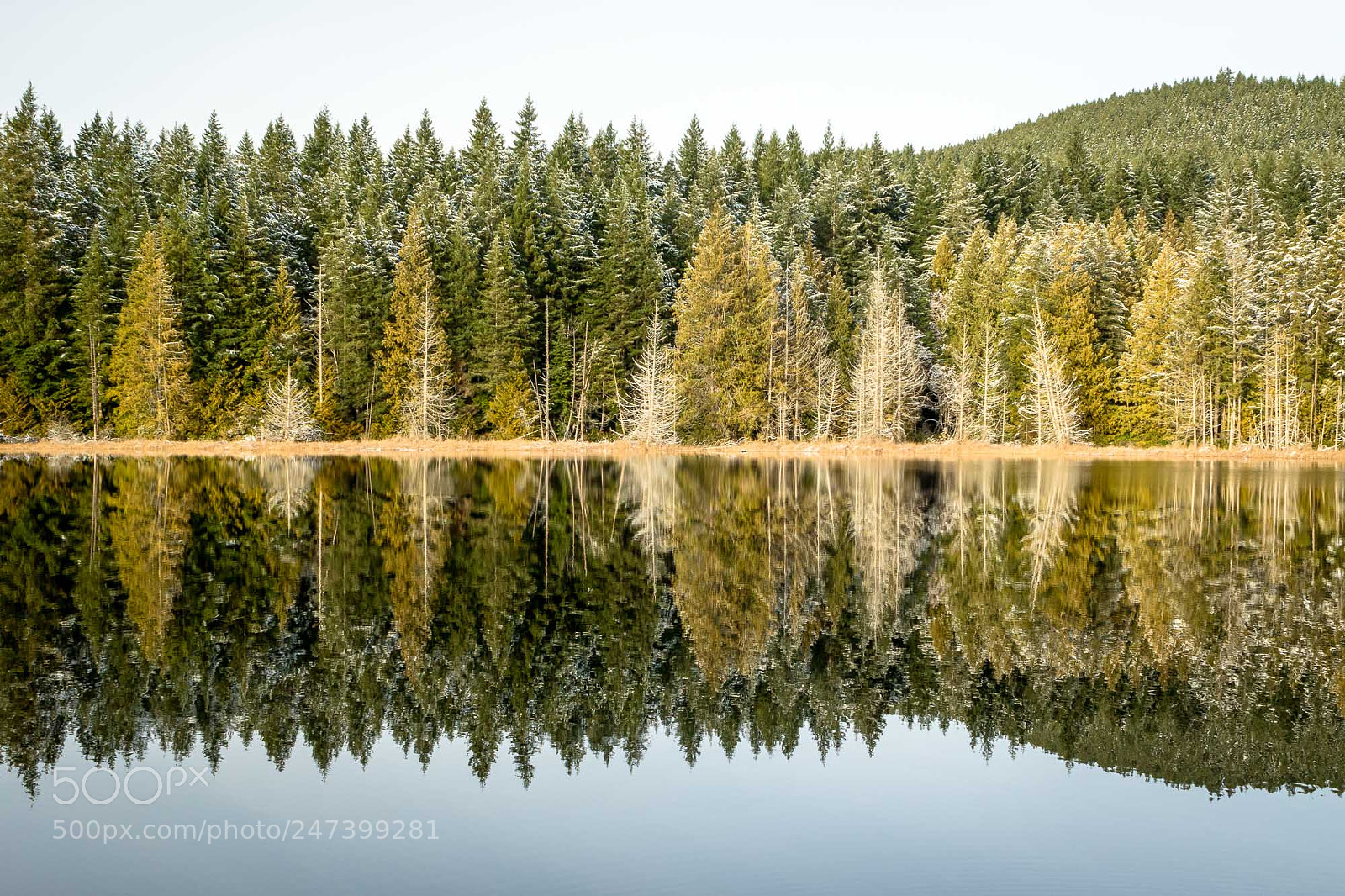 Canon EOS 7D Mark II sample photo. Reflecting photography