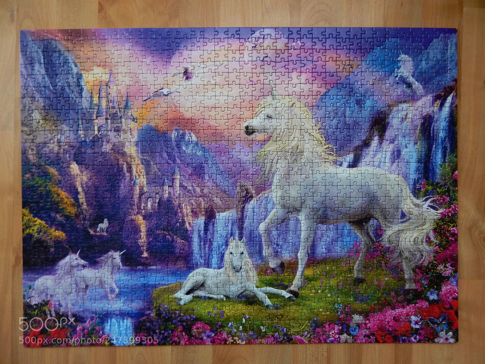 Nikon Coolpix L830 sample photo. Unicorns photography