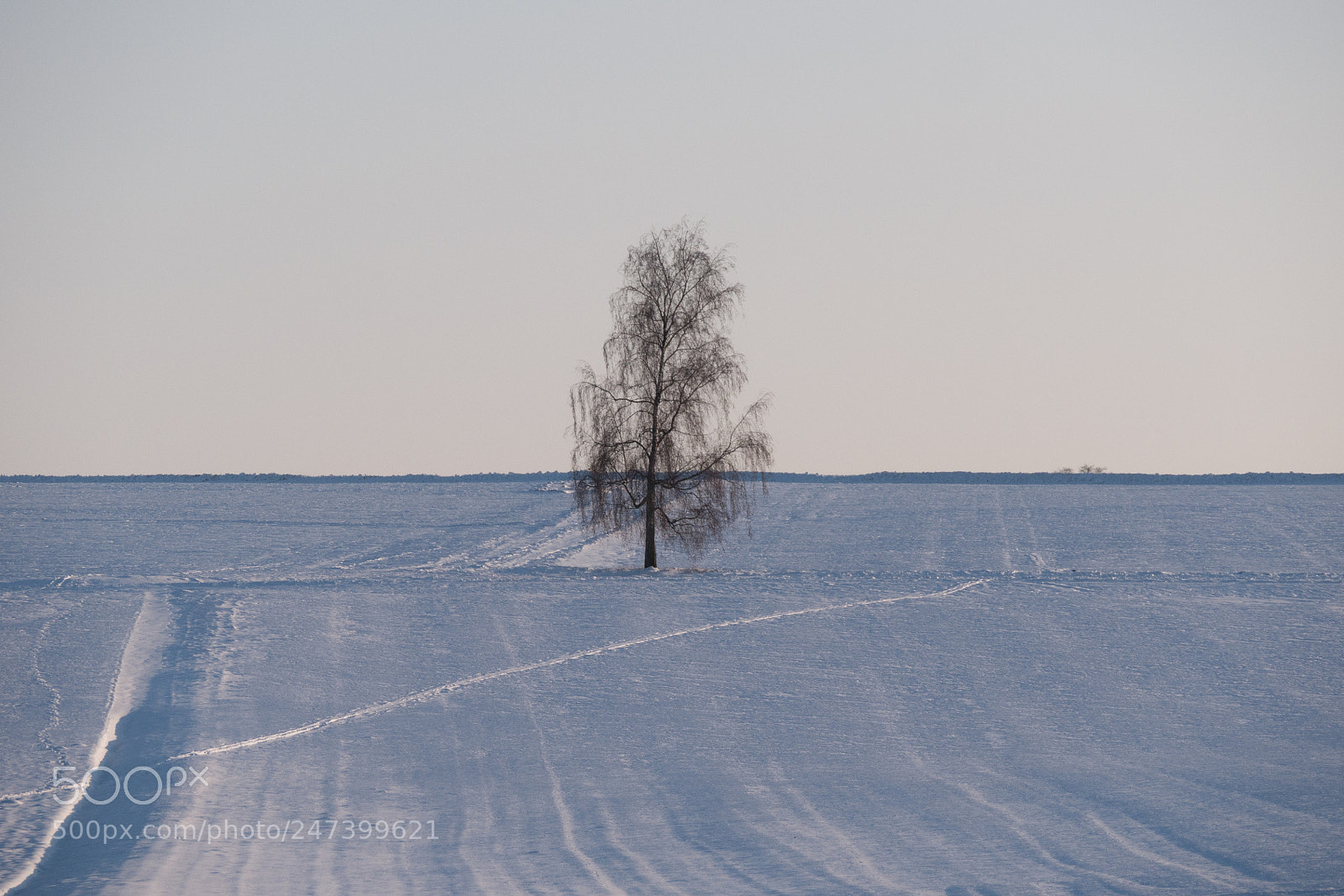 Panasonic DMC-G70 sample photo. Winter photography
