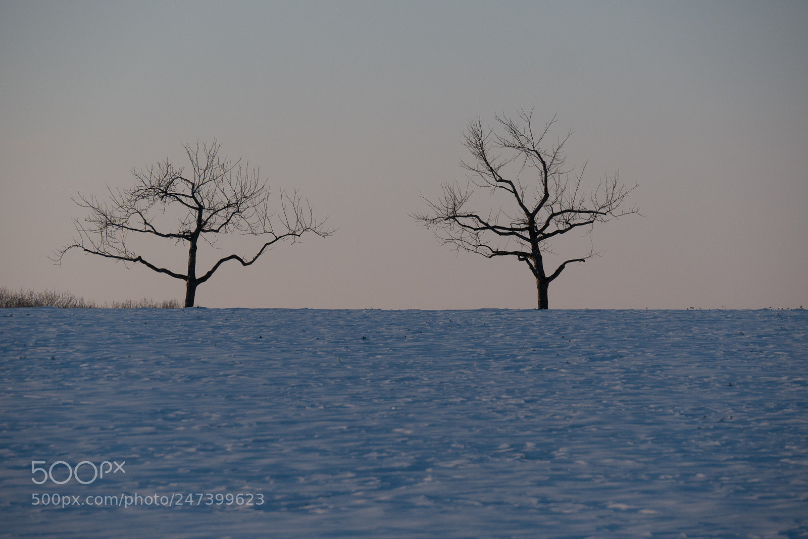 Panasonic DMC-G70 sample photo. Winter photography