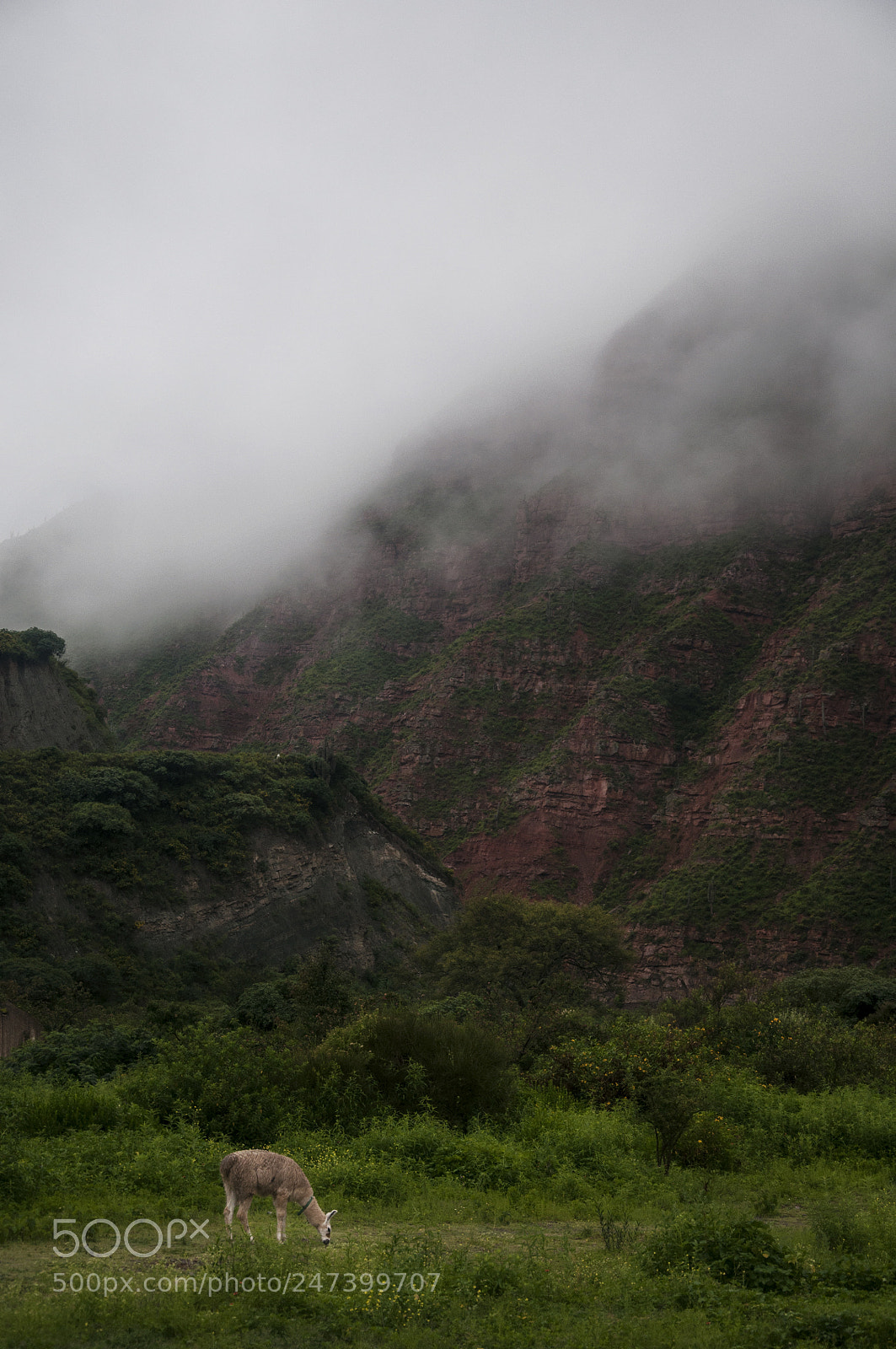 Nikon D90 sample photo. In the mountain photography