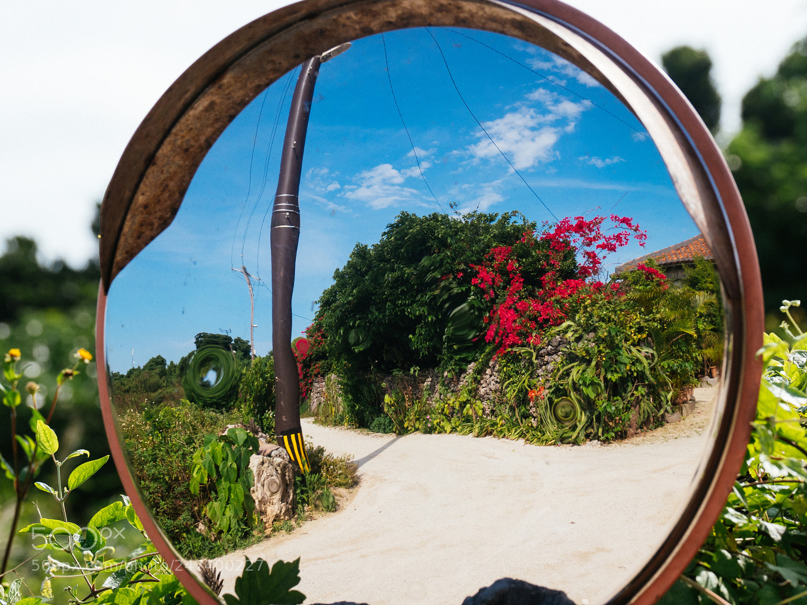 Olympus OM-D E-M1 Mark II sample photo. Summer in mirror photography