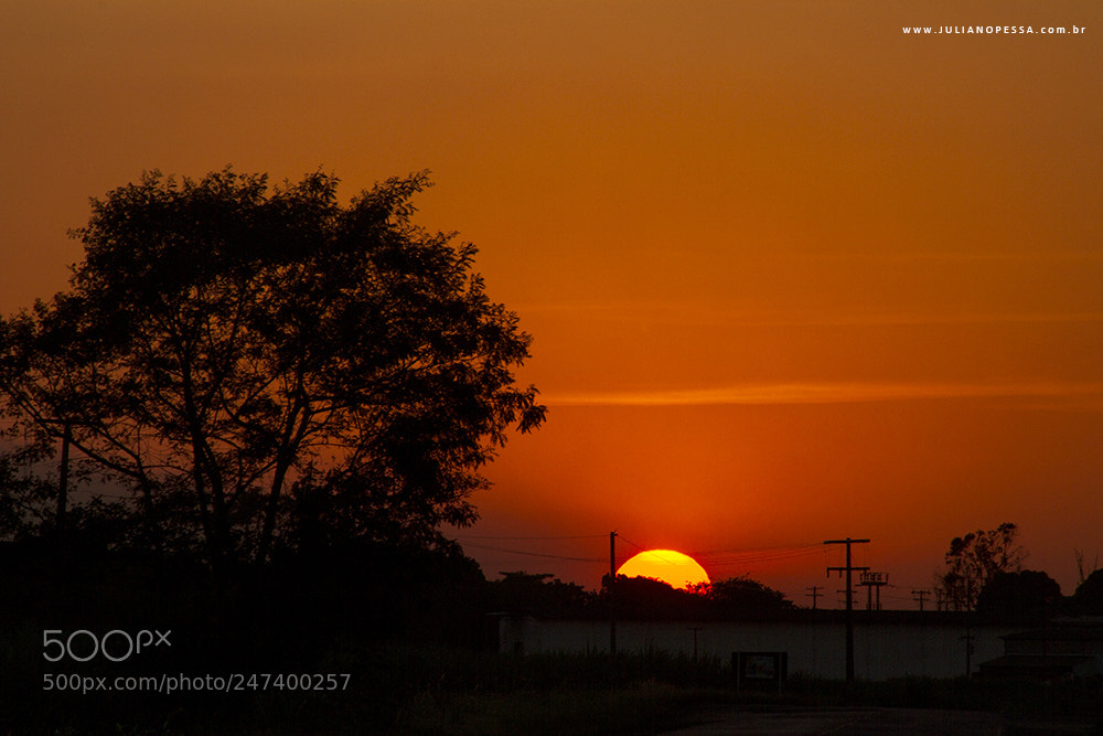 Canon EOS 7D sample photo. Arapiraca/al photography