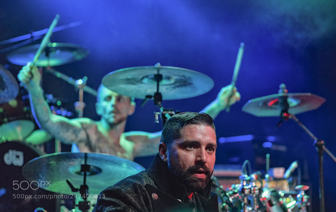 Nikon D810 sample photo. Akadia in concert 1 photography