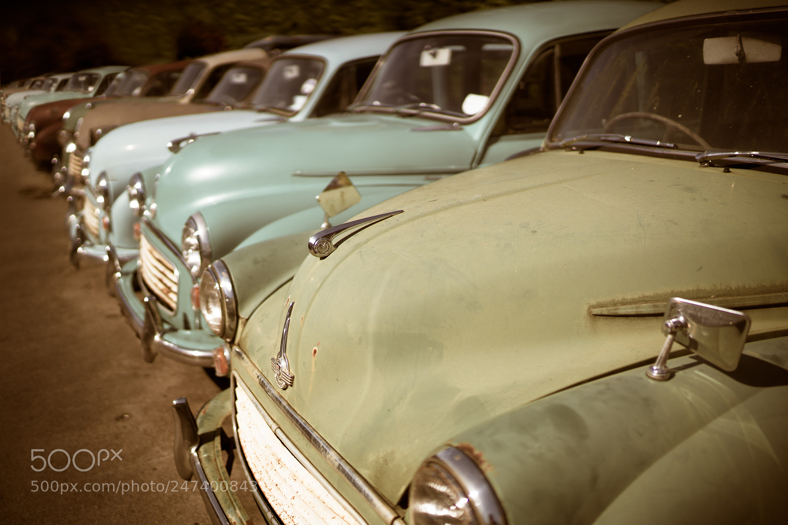 Sony a7R II sample photo. Morris minor line-up photography