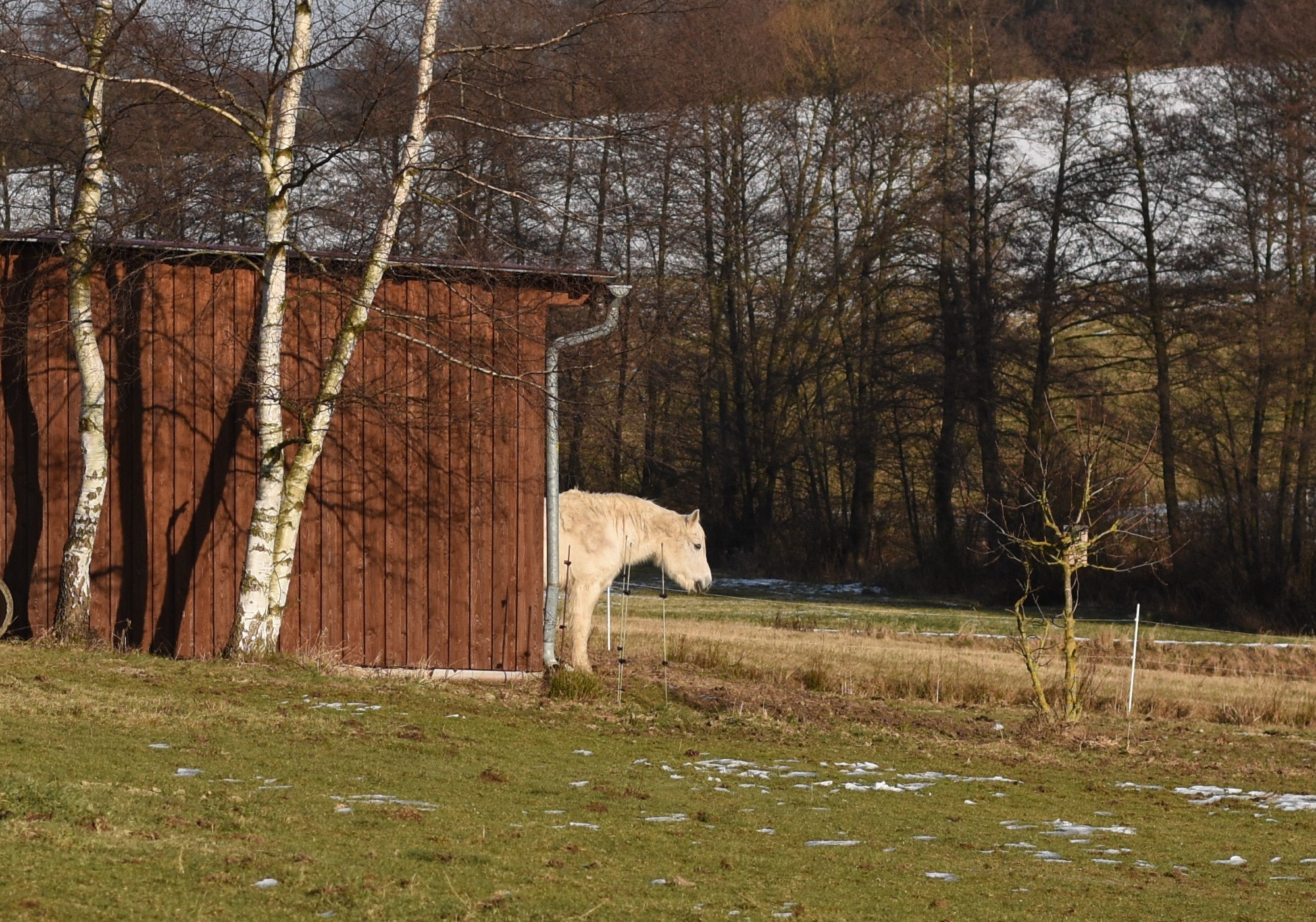 Nikon D7200 + Nikon AF-S Nikkor 50mm F1.8G sample photo. Unterstand photography