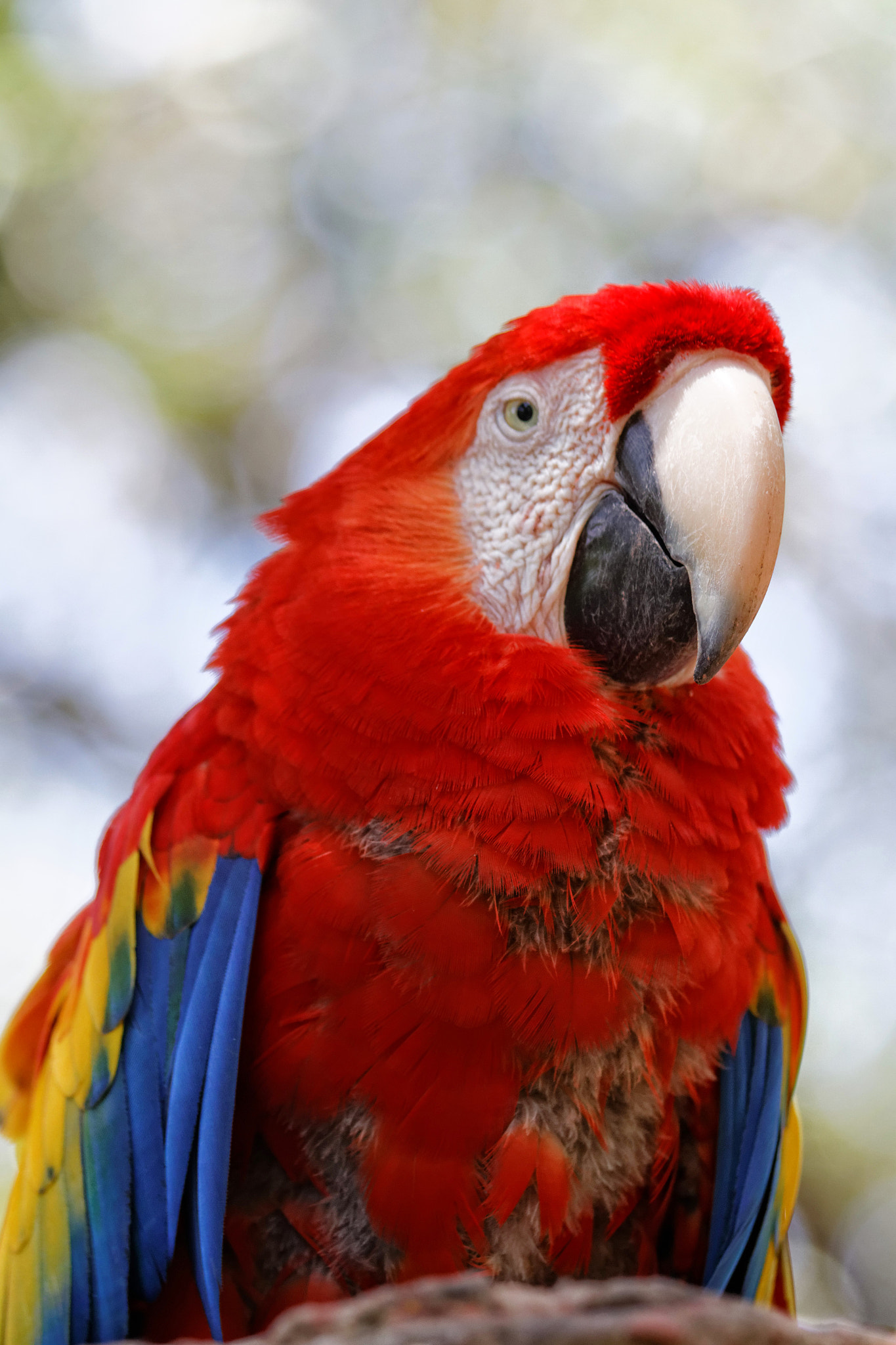 Canon EF 70-300mm F4-5.6 IS USM sample photo