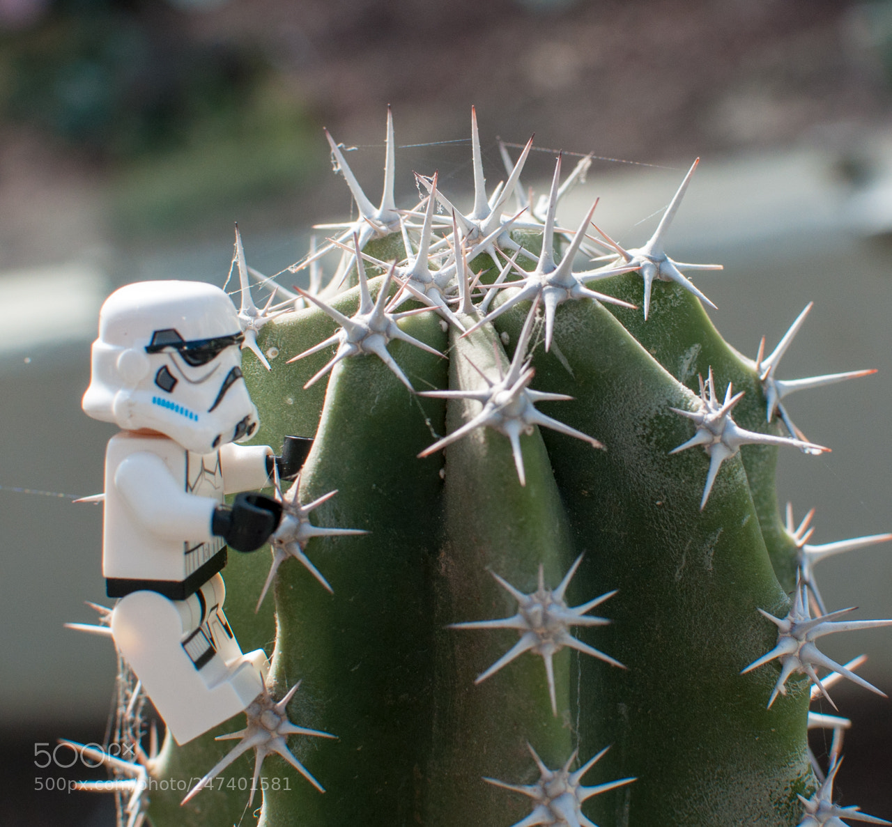 Nikon D90 sample photo. ¡que me estoy pinchando! photography