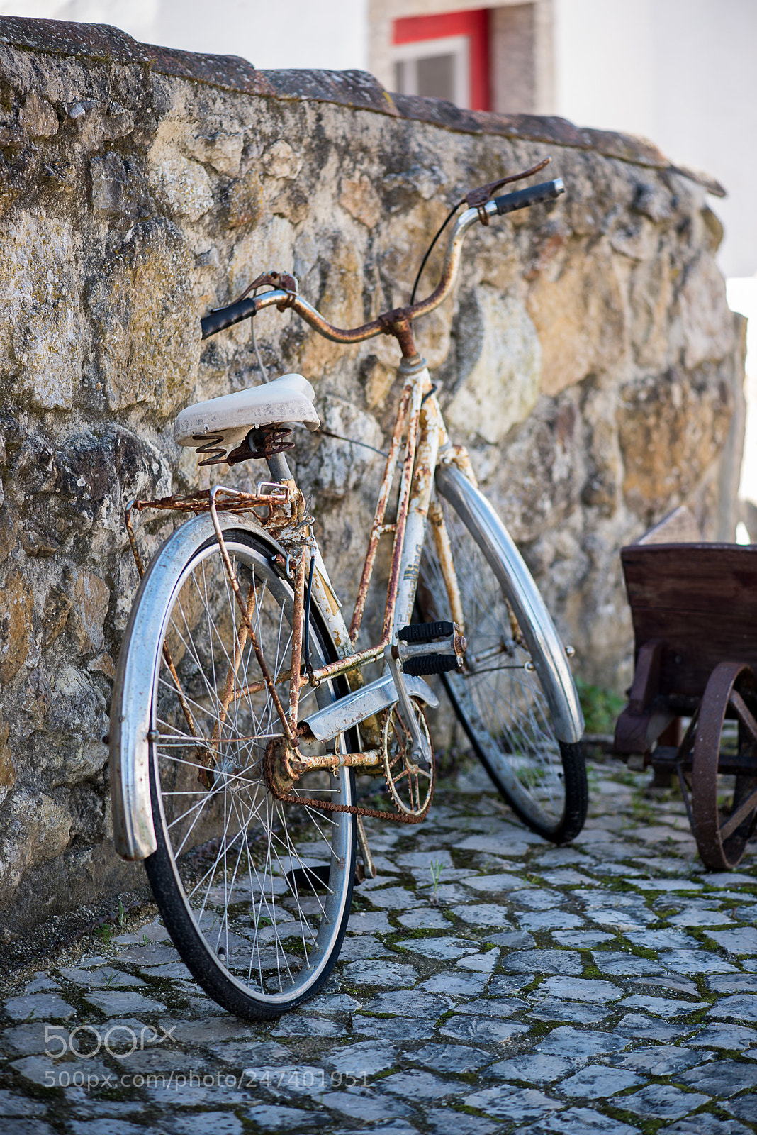 Nikon D610 sample photo. Perdida no tempo... photography