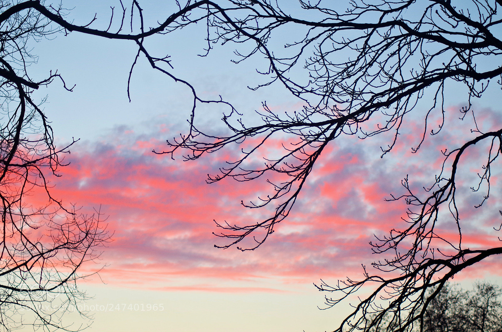 Pentax K-500 sample photo. Pink  sunset photography