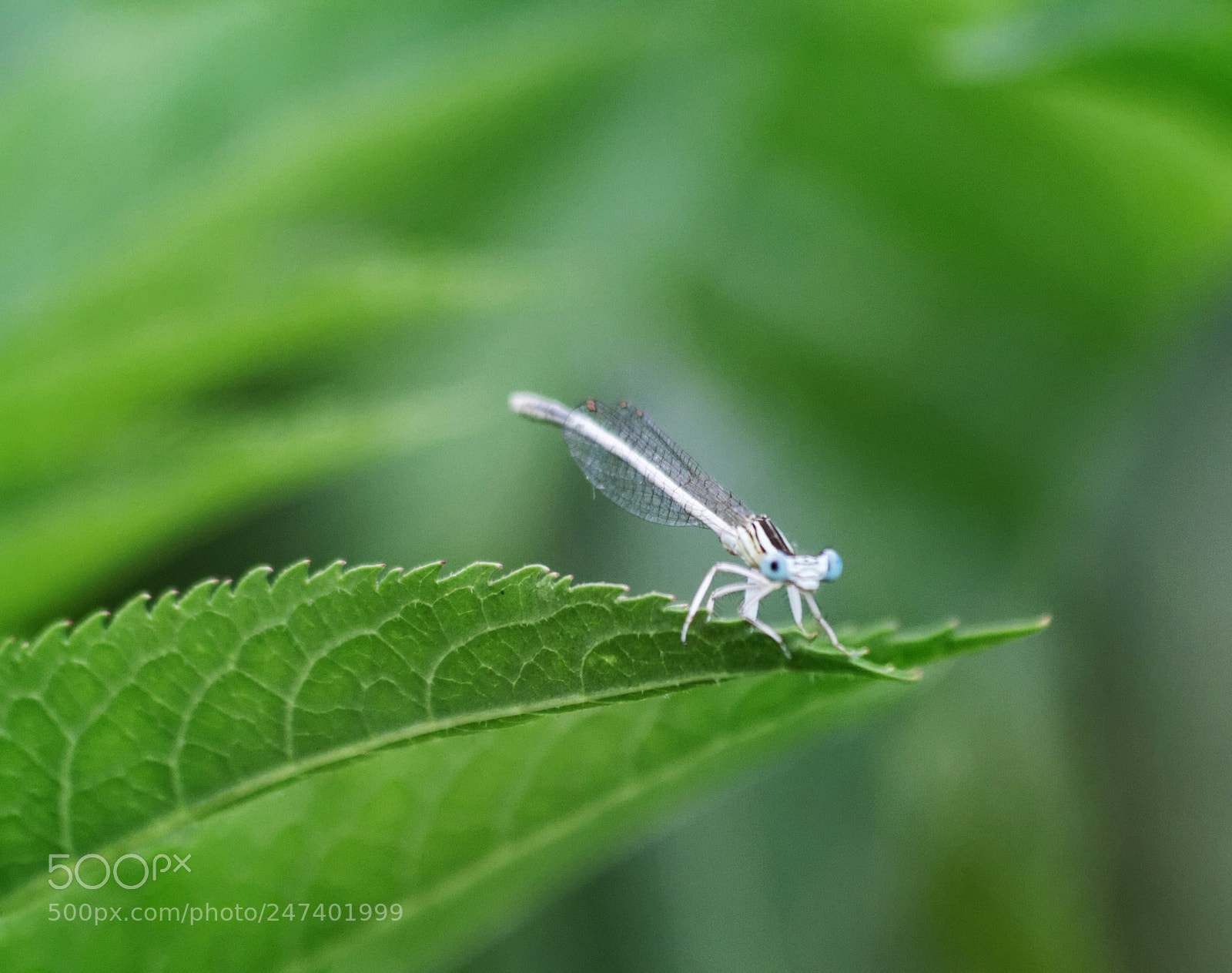 Canon EOS 7D sample photo. Untitled photography