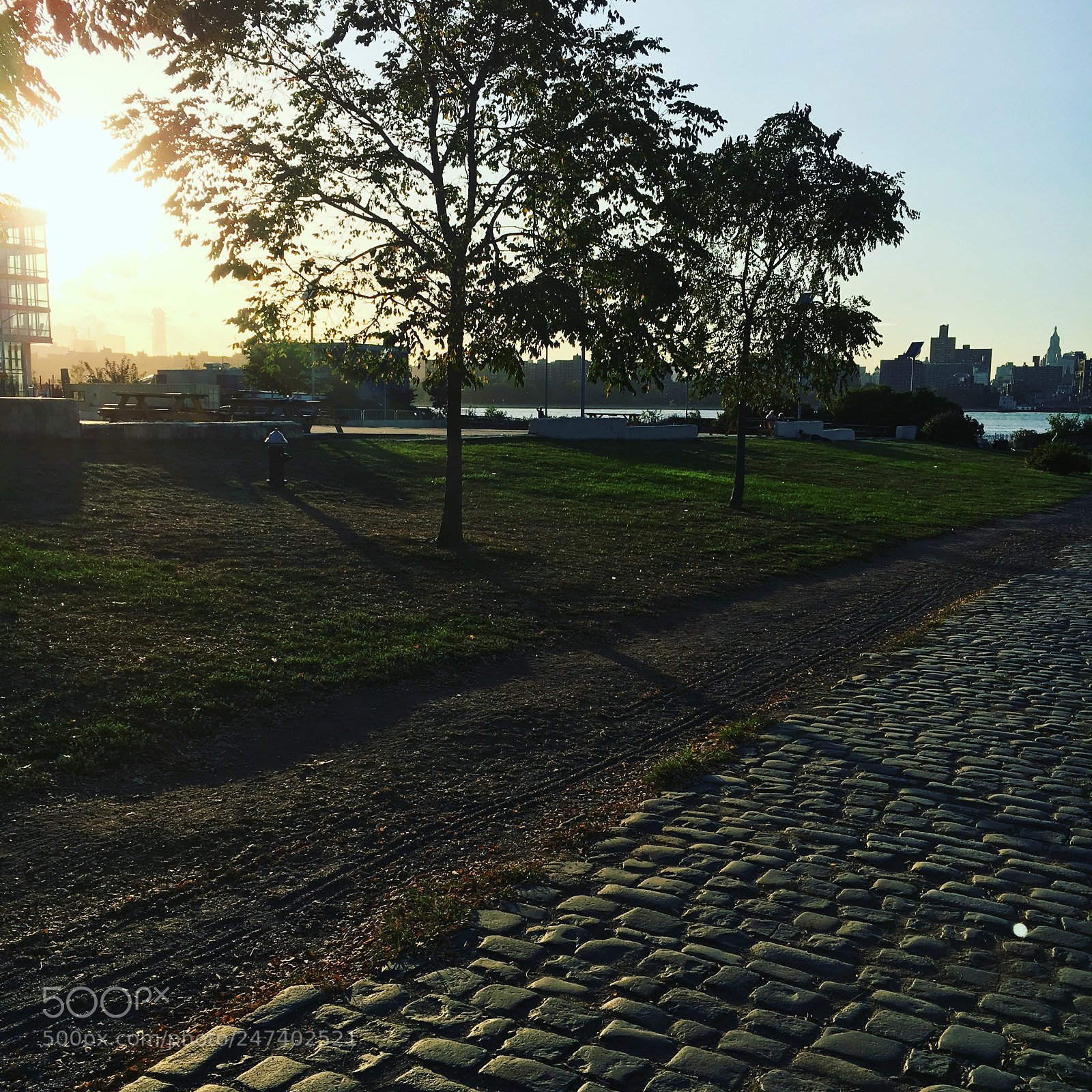 Apple iPhone 6s sample photo. Untitled photography
