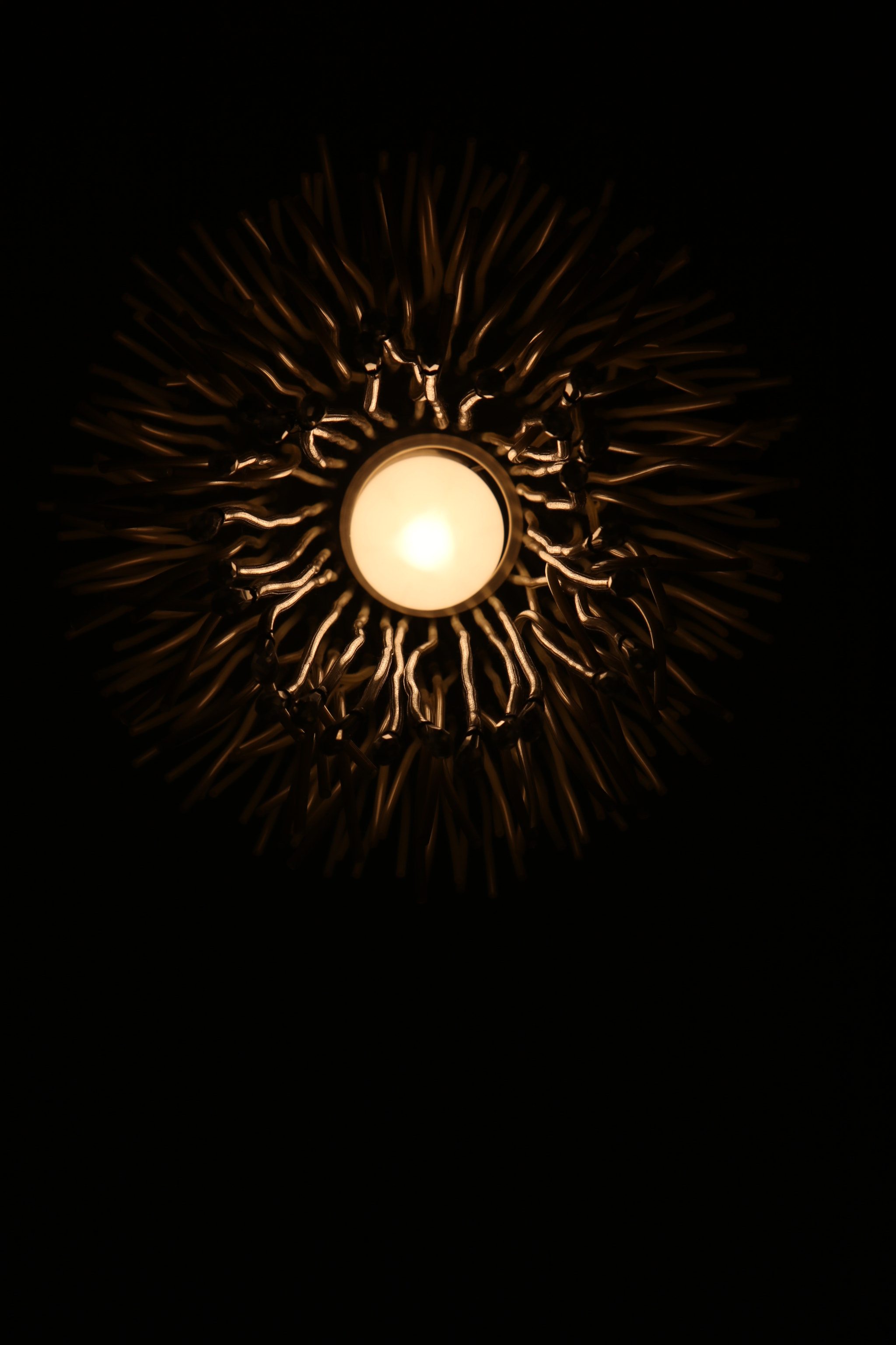 Canon EOS 750D (EOS Rebel T6i / EOS Kiss X8i) sample photo. Jellyfish of light photography