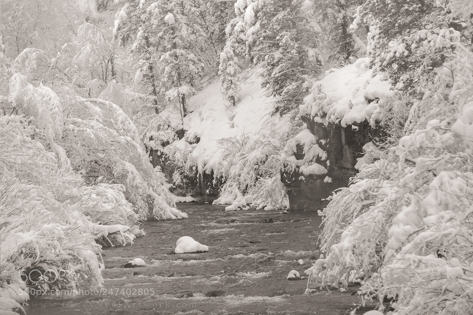 Nikon D5100 sample photo. Winter wonderland photography