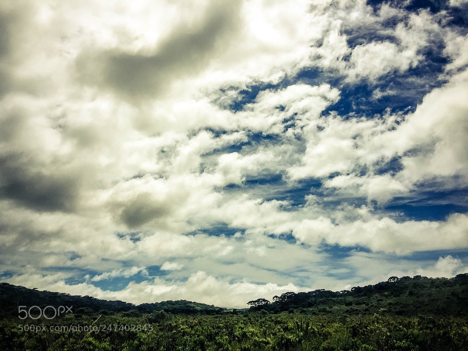 Apple iPhone 6 Plus sample photo. Santa catarina, brazil  photography
