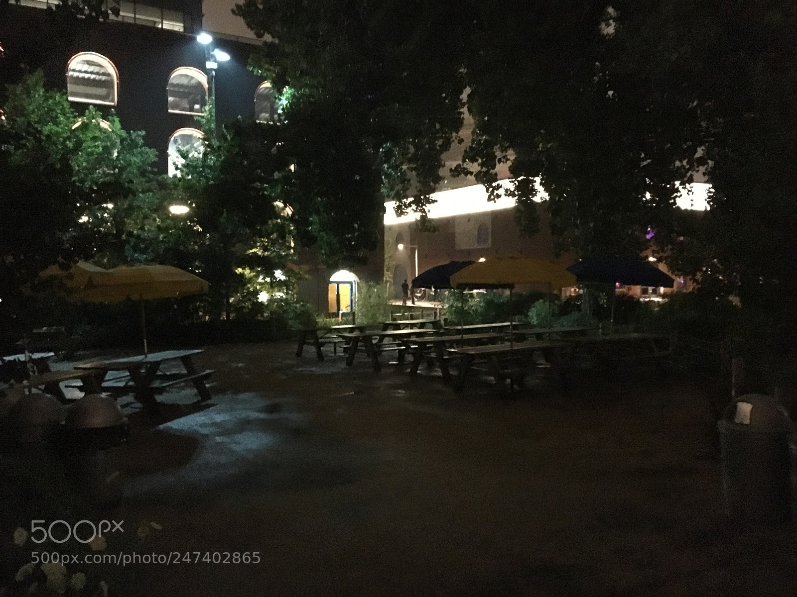 Apple iPhone 6s sample photo. Untitled photography
