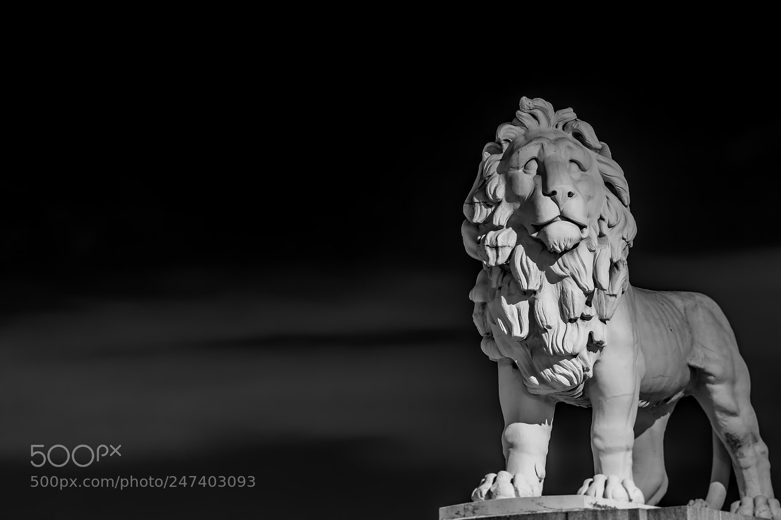 Canon EOS 700D (EOS Rebel T5i / EOS Kiss X7i) sample photo. London lion photography