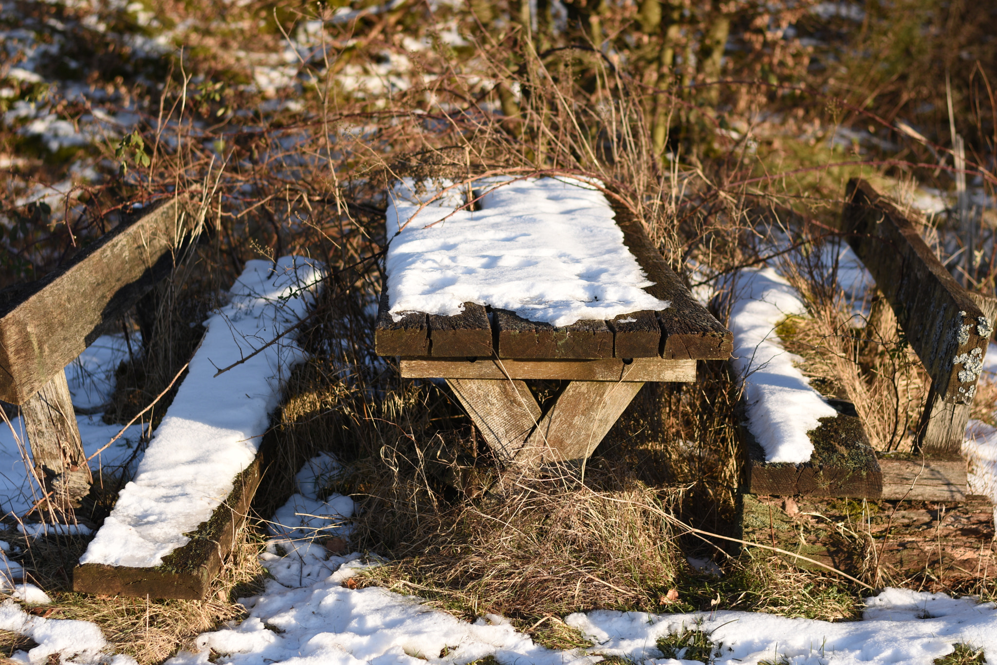 Nikon D7200 + Nikon AF-S Nikkor 50mm F1.8G sample photo. Forgotten photography