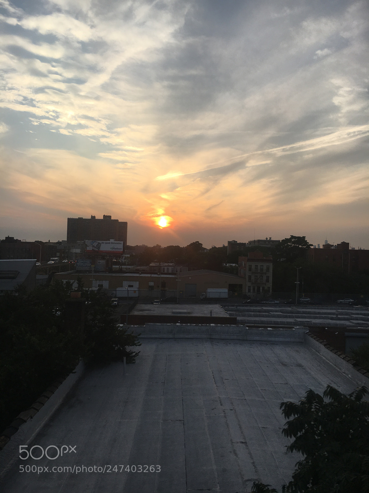 Apple iPhone 6s sample photo. Untitled photography