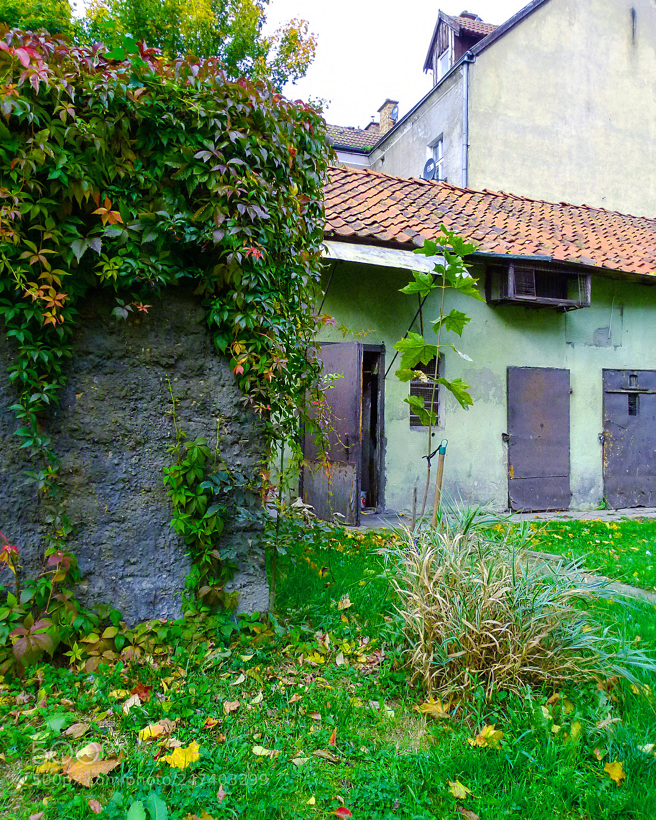 Panasonic Lumix DMC-FZ100 sample photo. Dream house photography