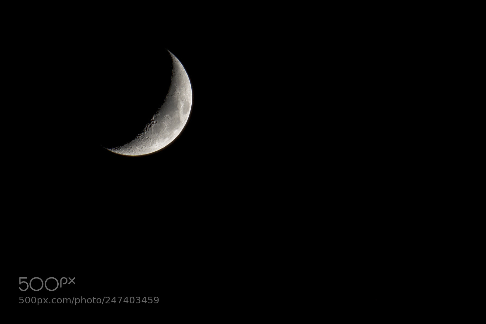 Nikon D7100 sample photo. 0318 photography