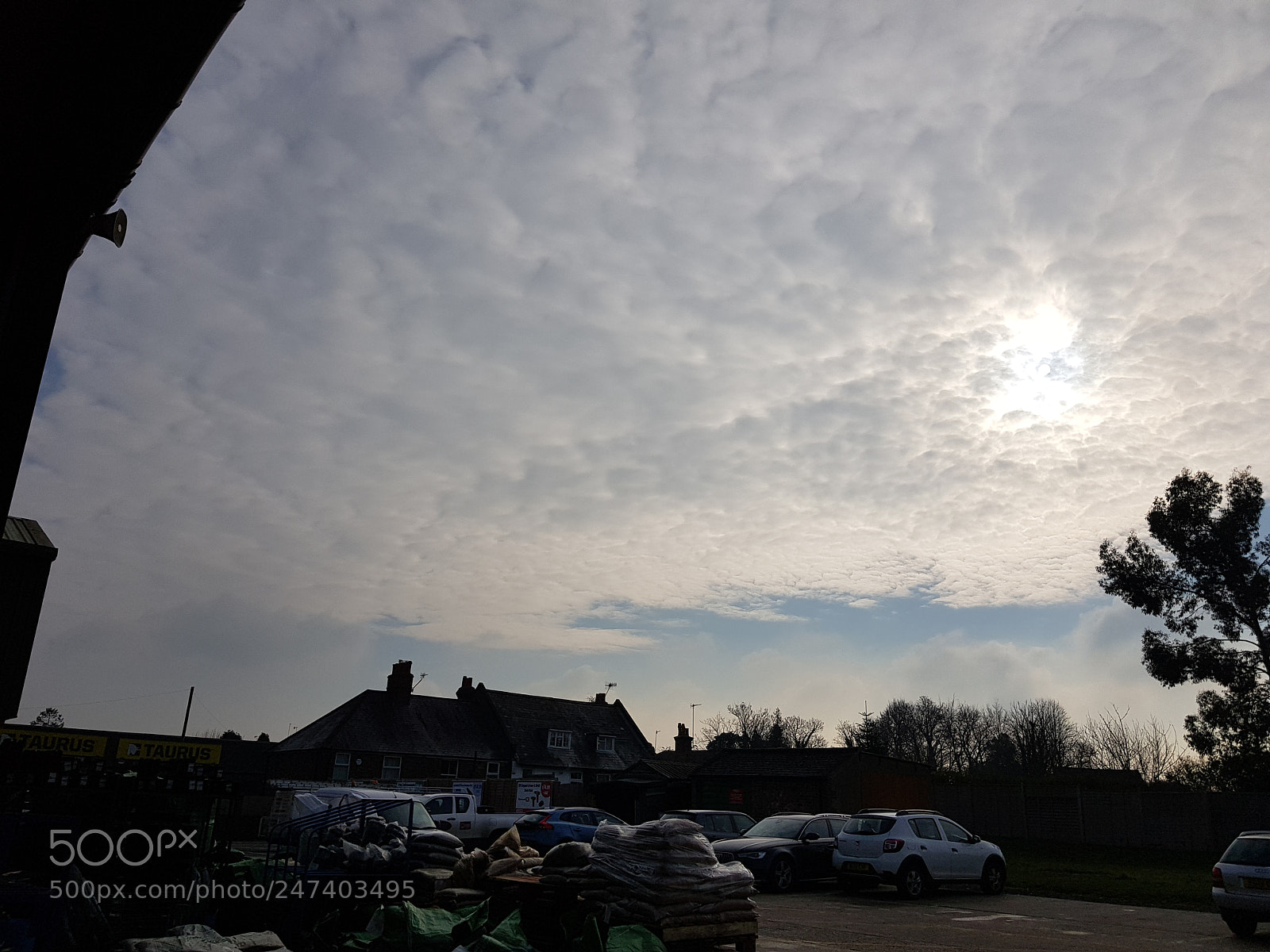 Samsung Galaxy S8+ sample photo. Untitled photography