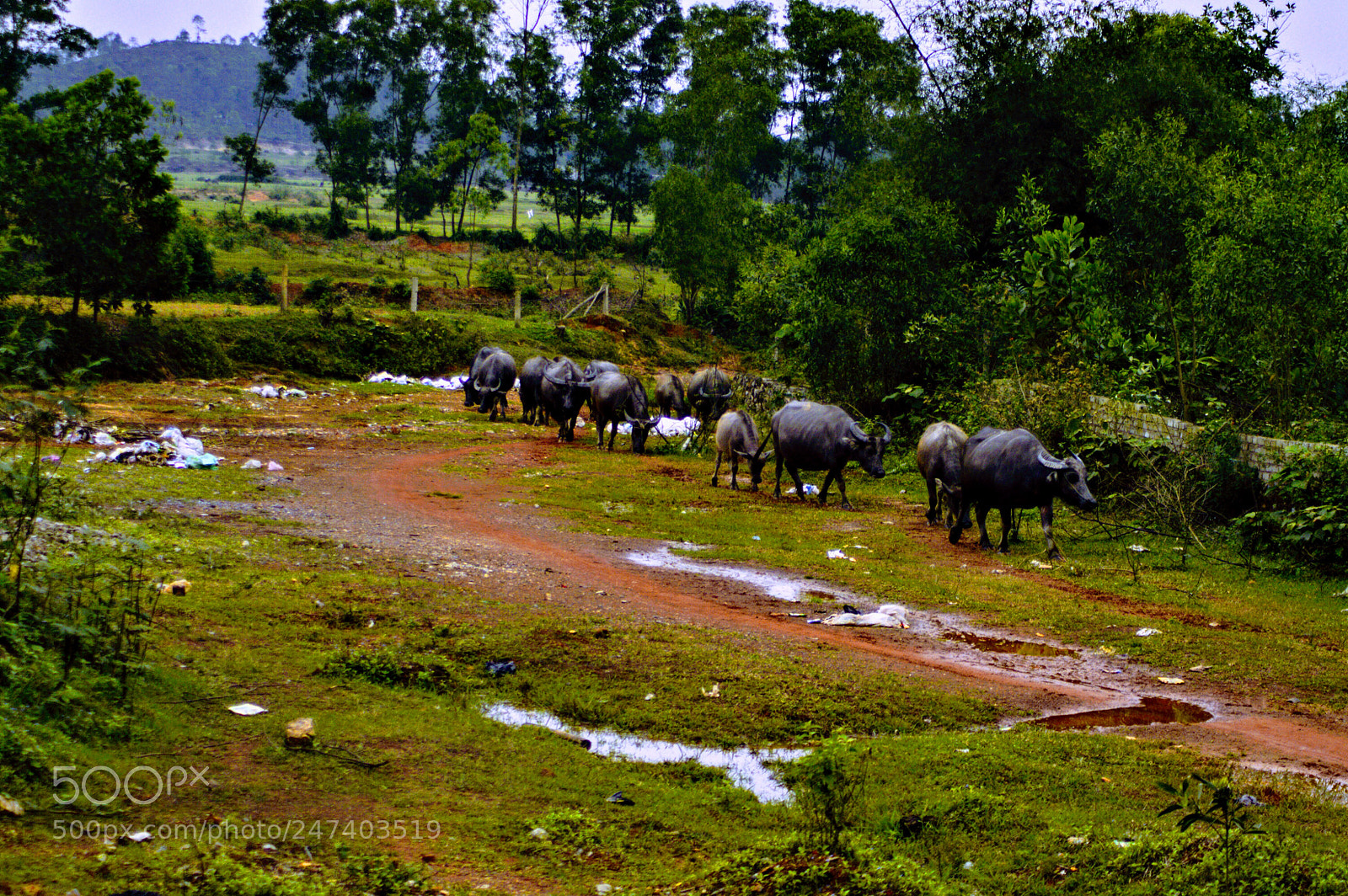 Nikon D3200 sample photo. Vietnam photography