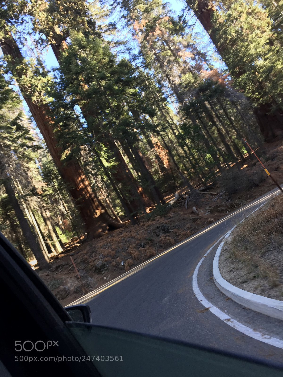 Apple iPhone 6 sample photo. The road to paradise photography